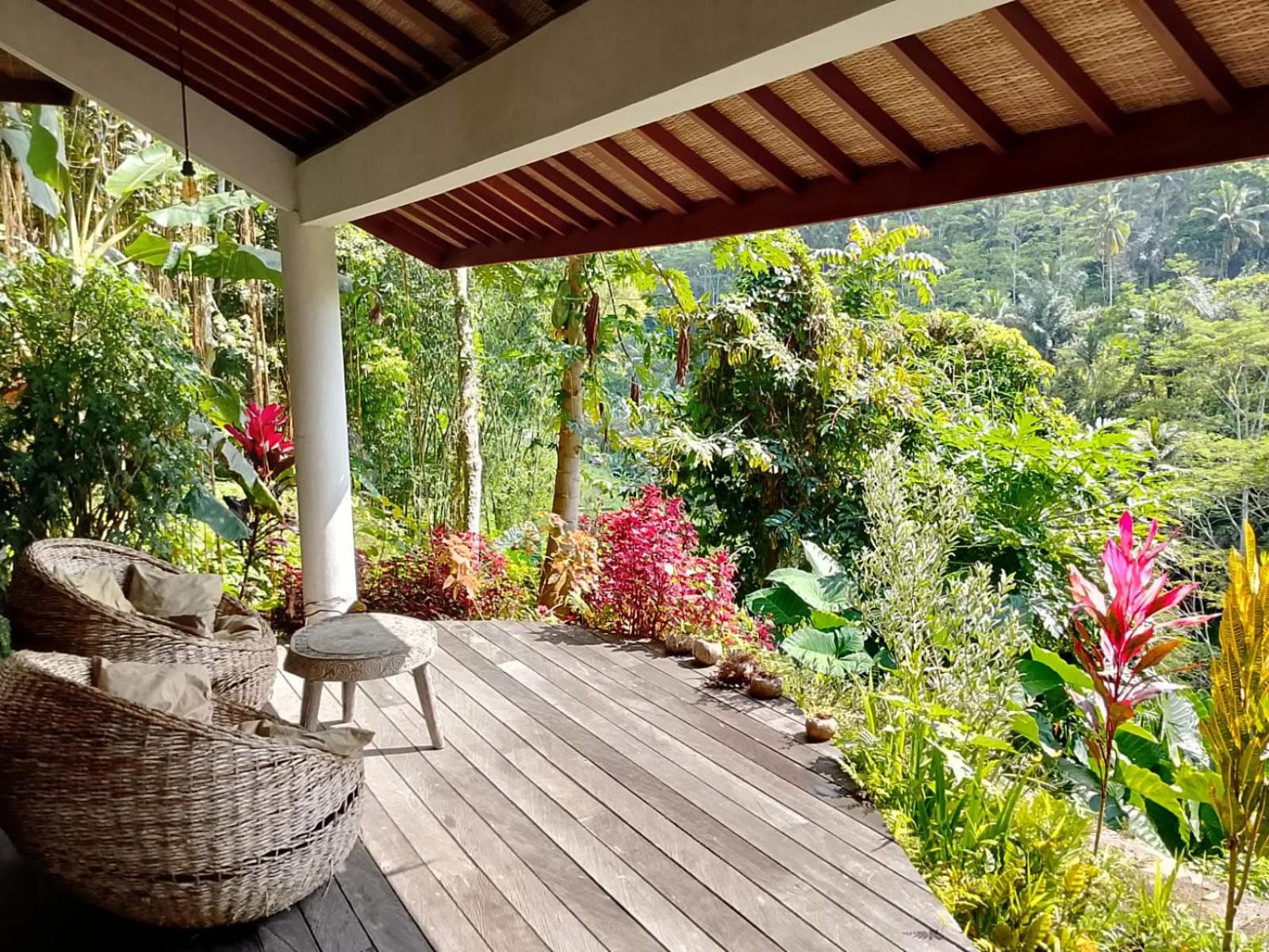 The Jungle Nook by Harmony Hill