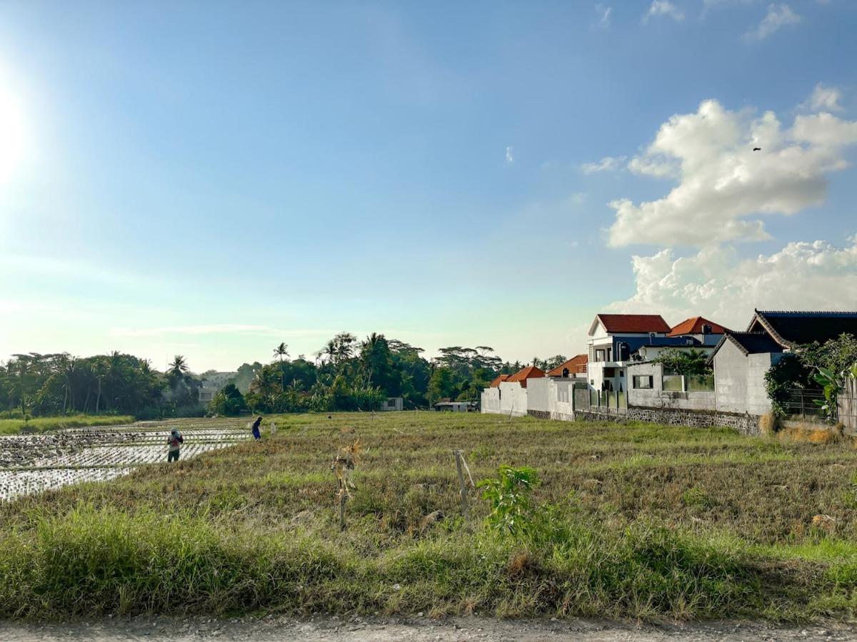 D'asasta Villa Cemagi