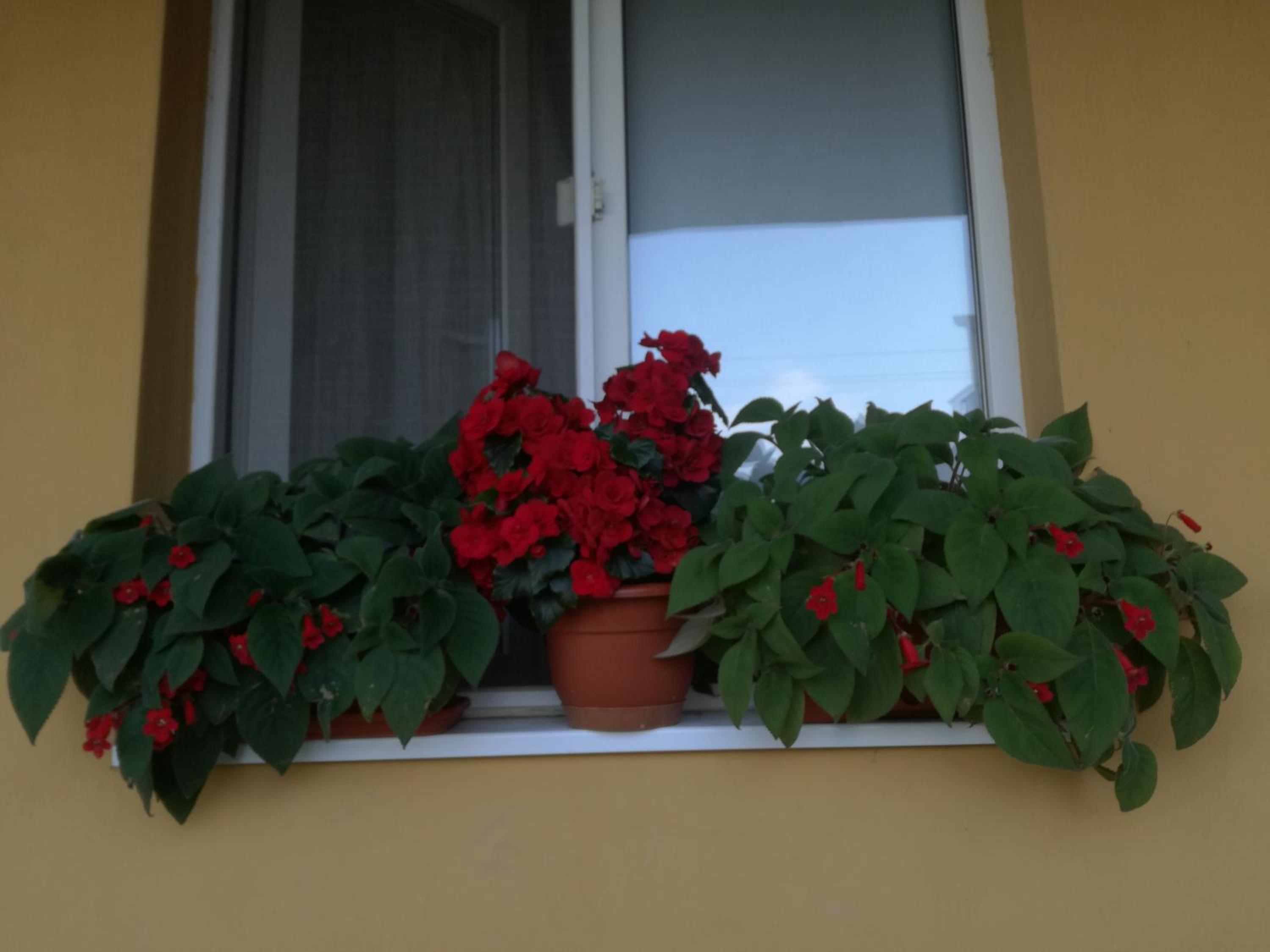 Photo 34