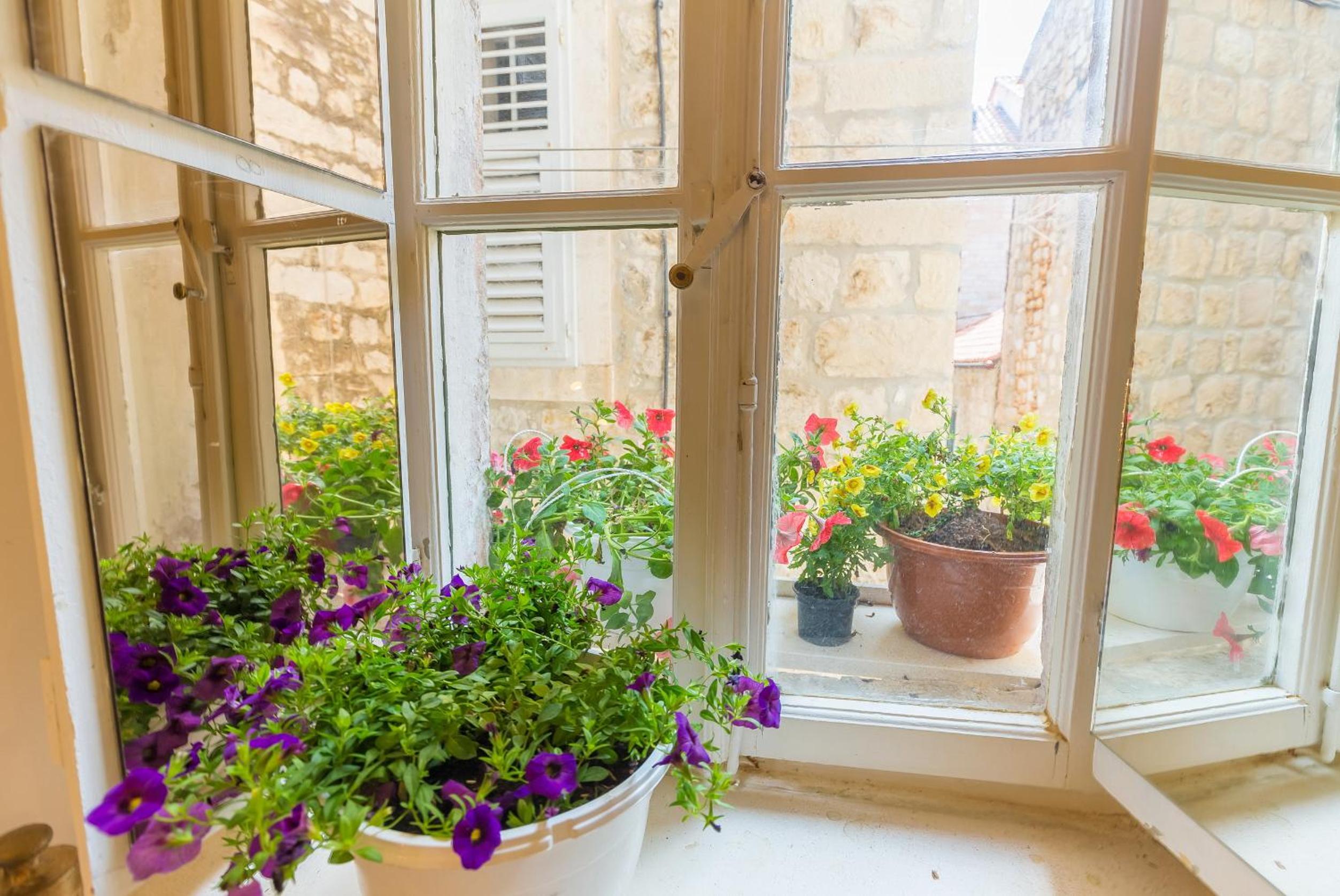 Mia Casa Dubrovnik