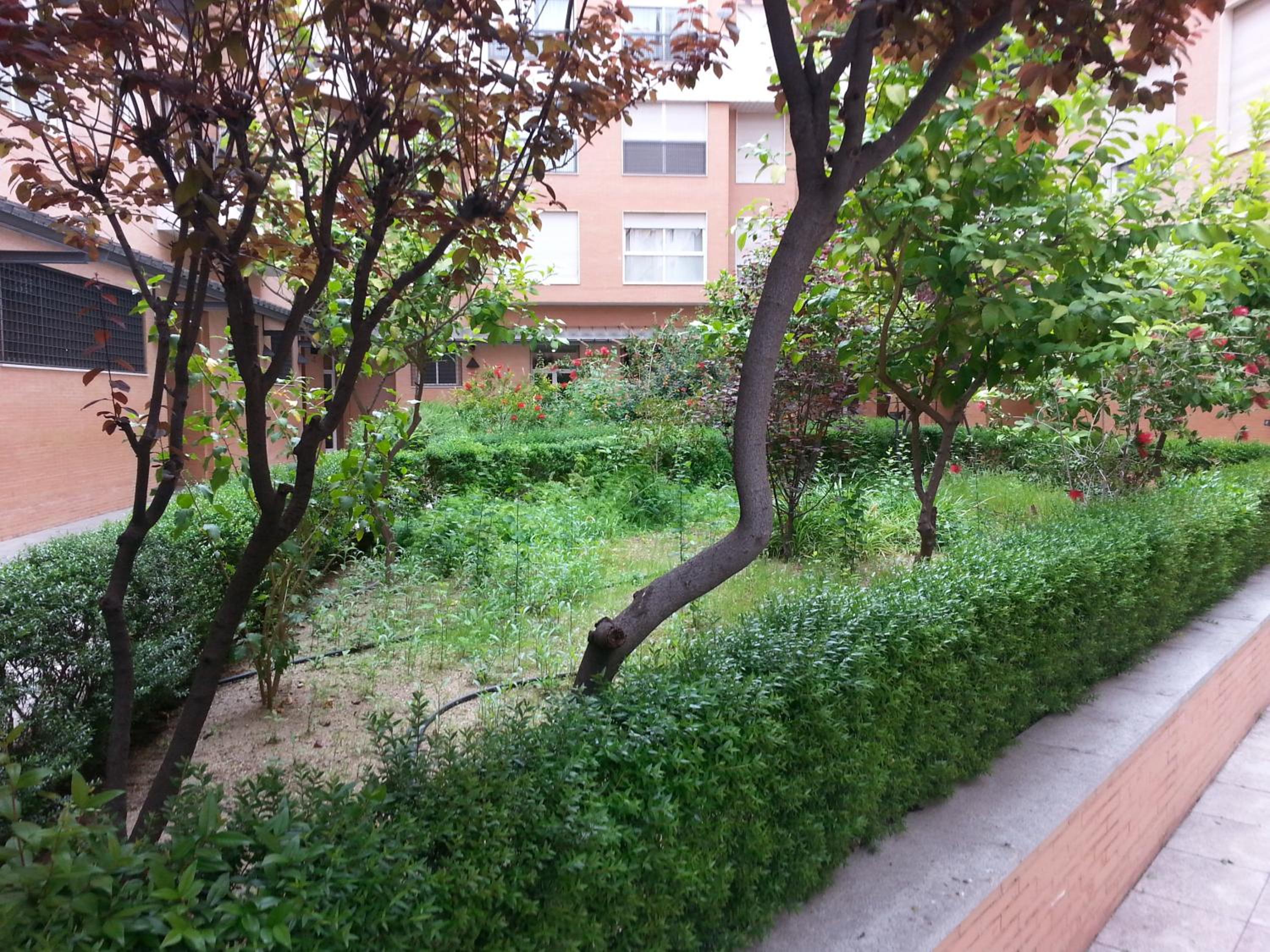 Photo 22
