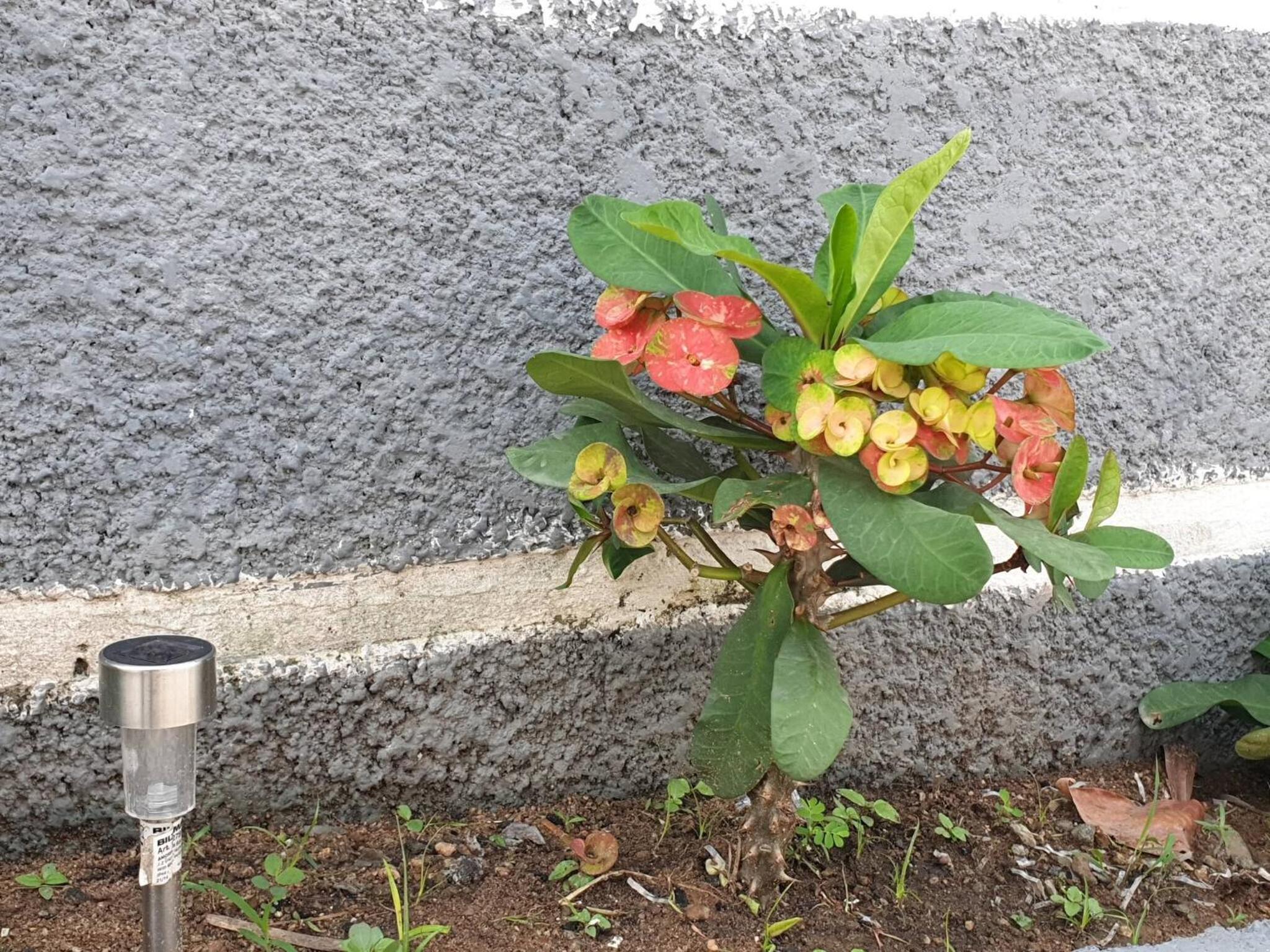 4-Bedroom in kubwa, Abuja