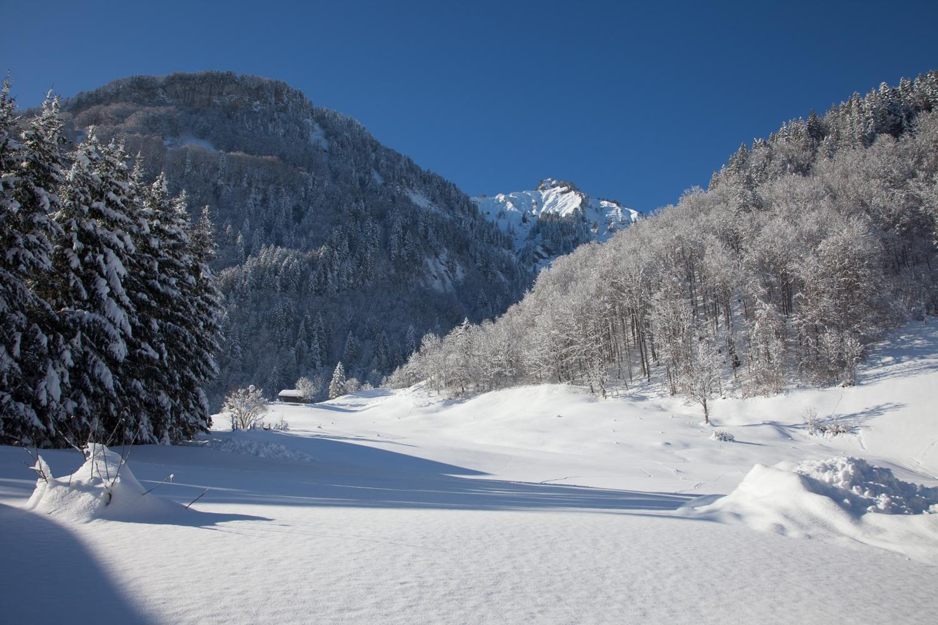 Alps Hoamat Ferienchalet