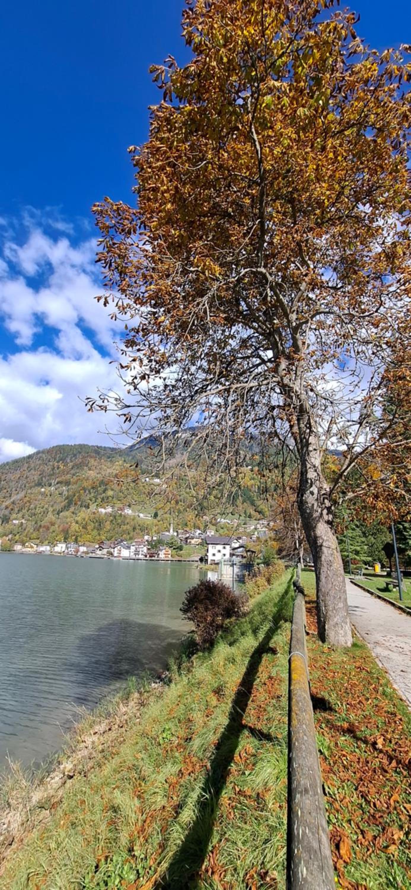 Sasso Bianco Home - Mountain View & Private Parking