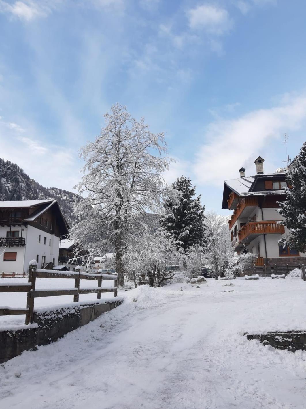 Sasso Bianco Home - Mountain View & Private Parking