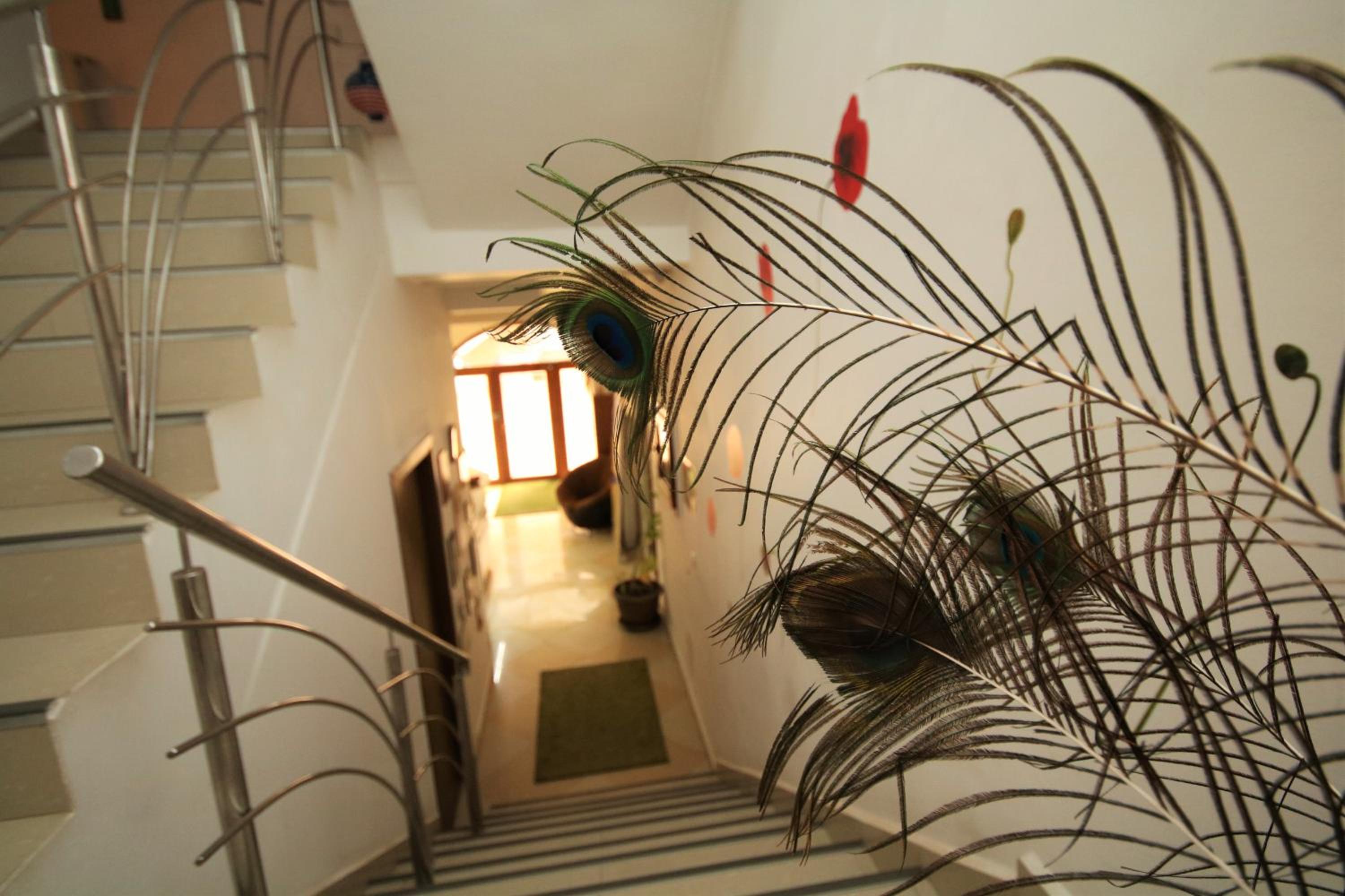 Photo 42