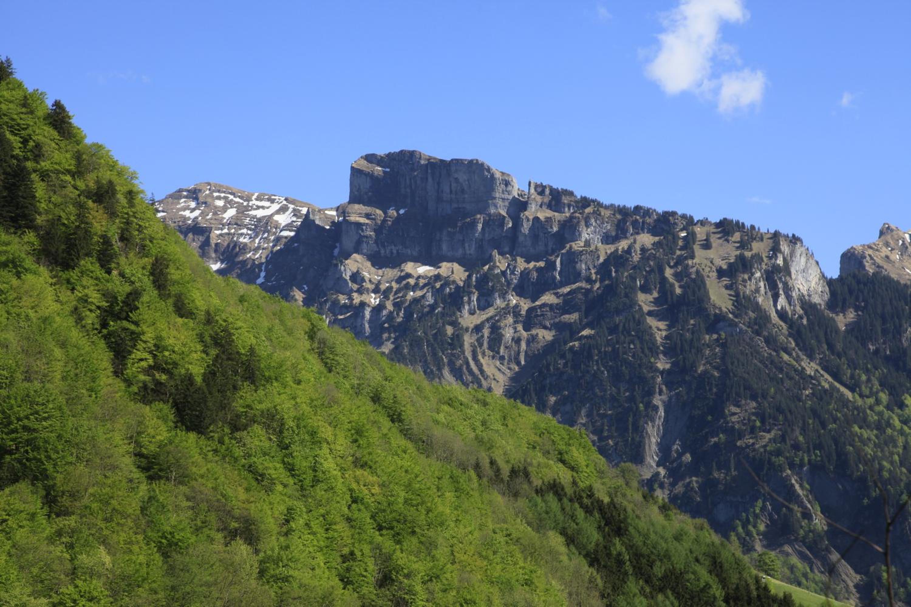 Alps Hoamat Ferienchalet