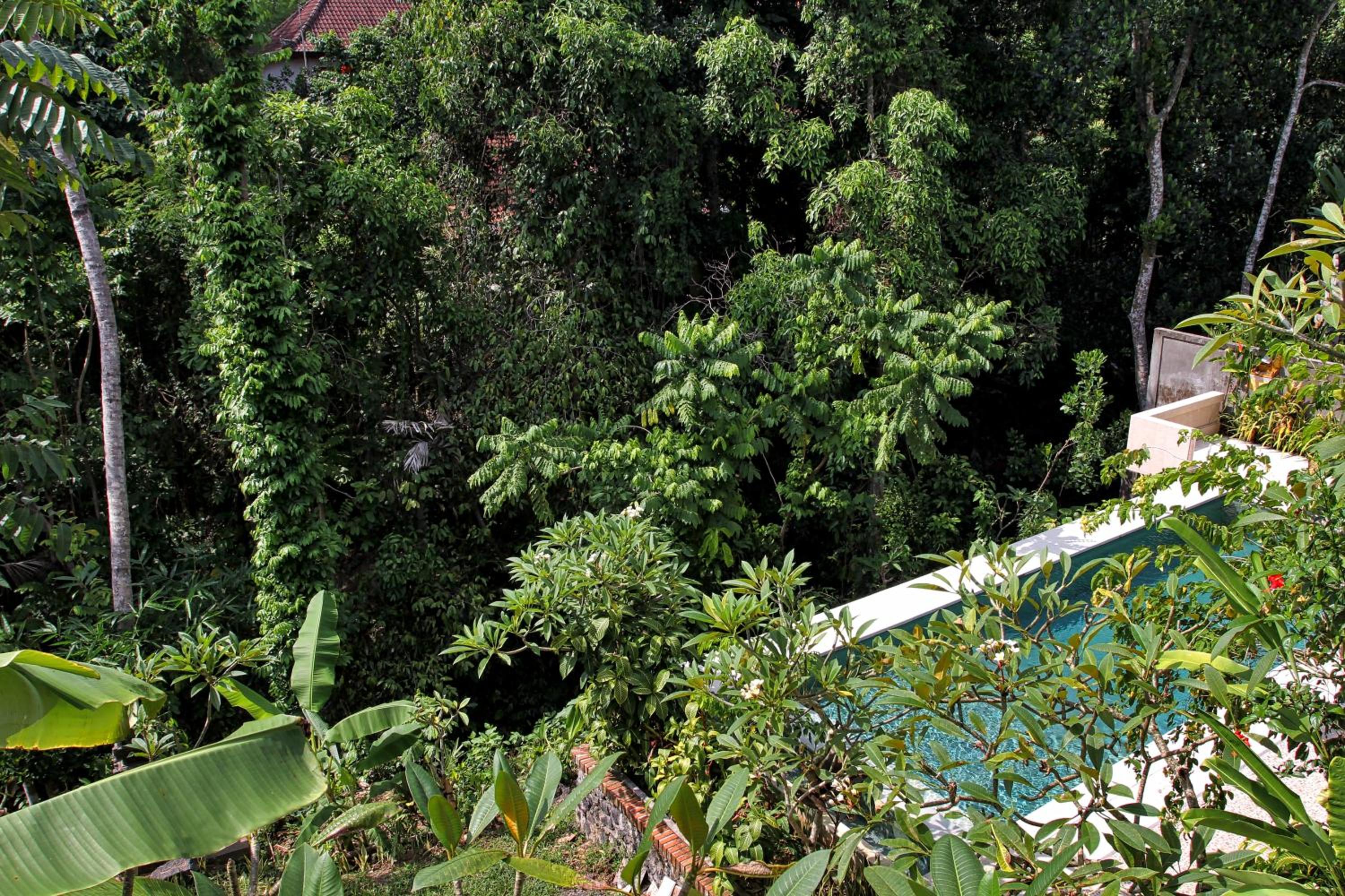 Bismajaya Bungalow
