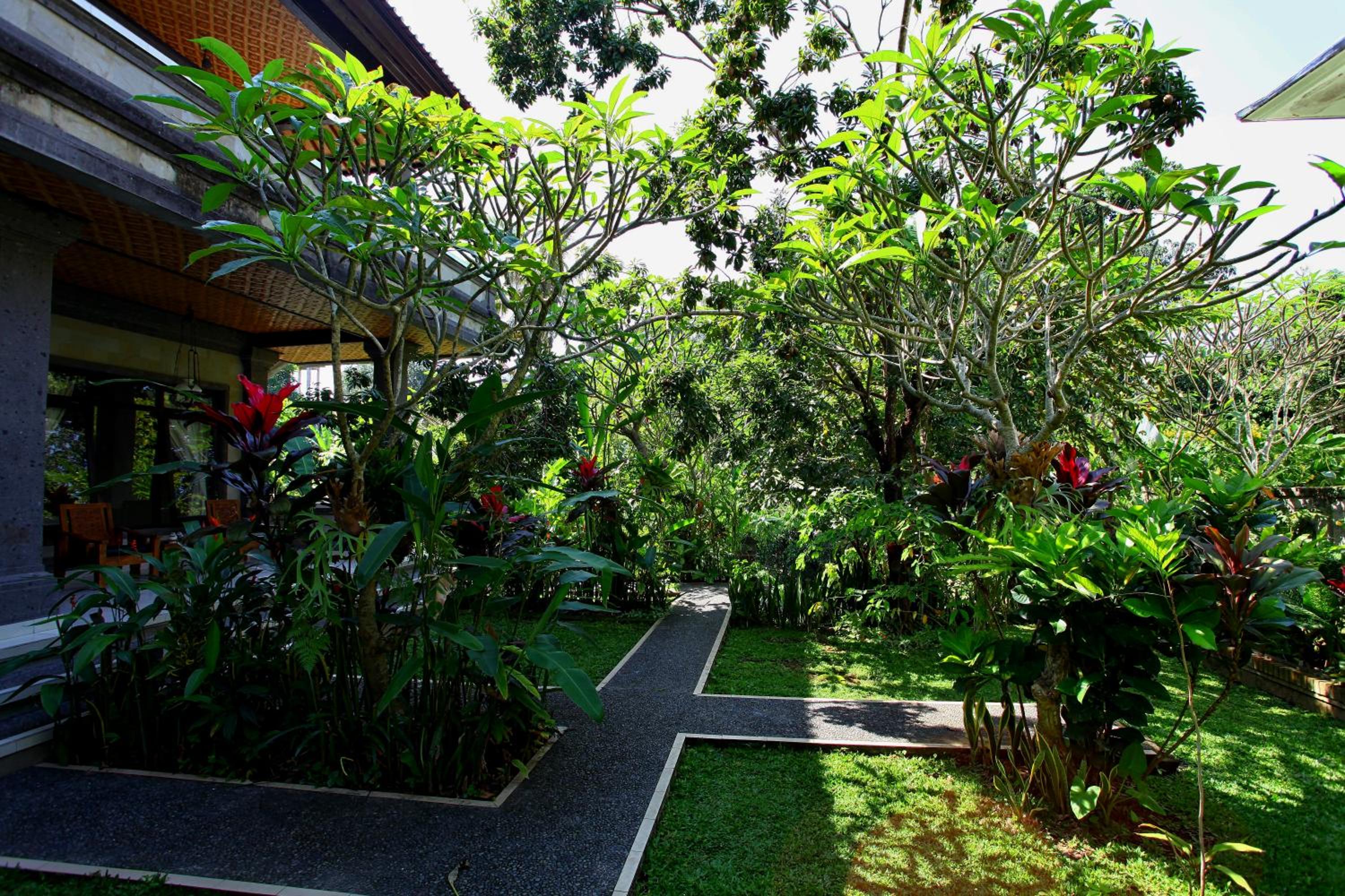 Bismajaya Bungalow
