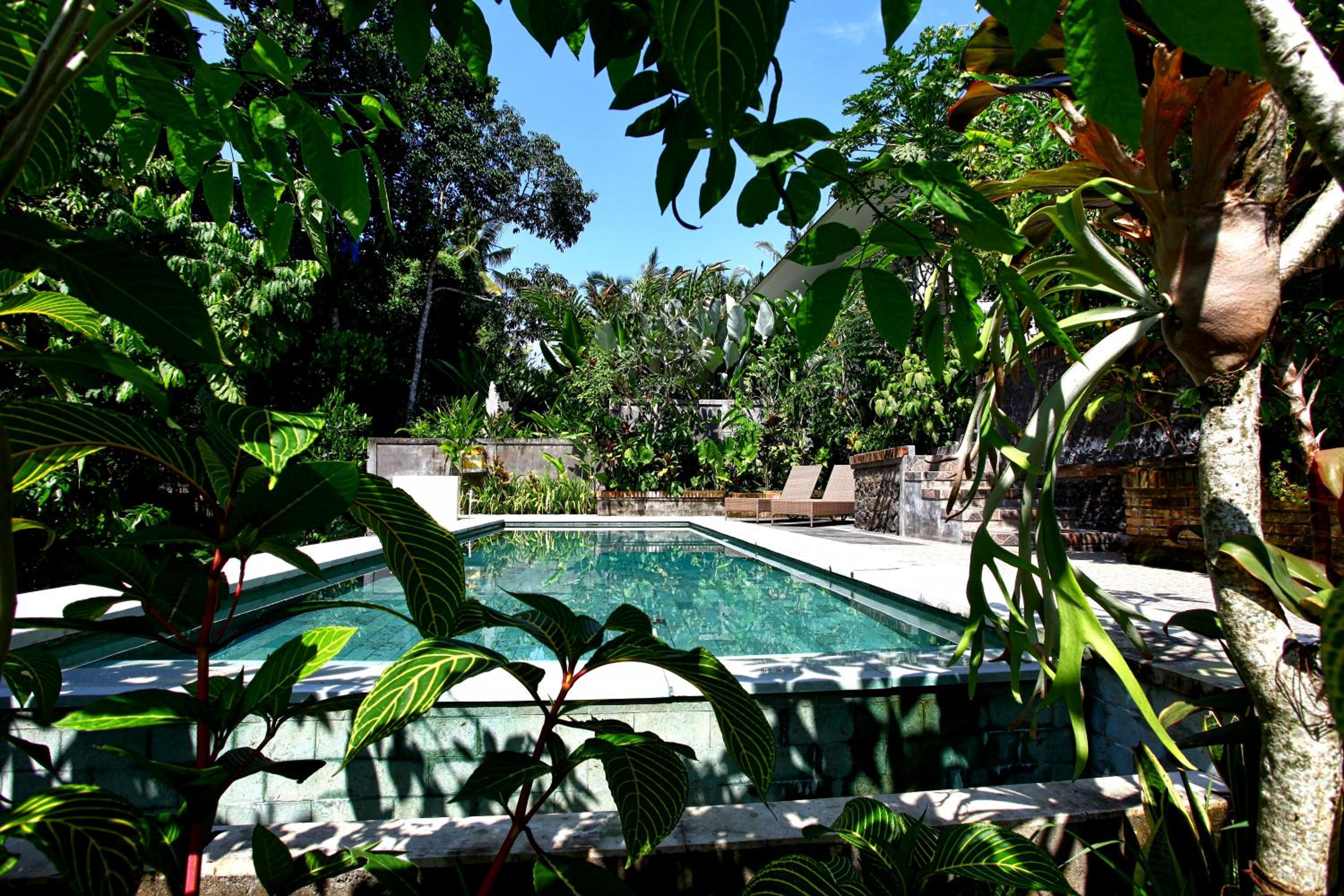 Bismajaya Bungalow