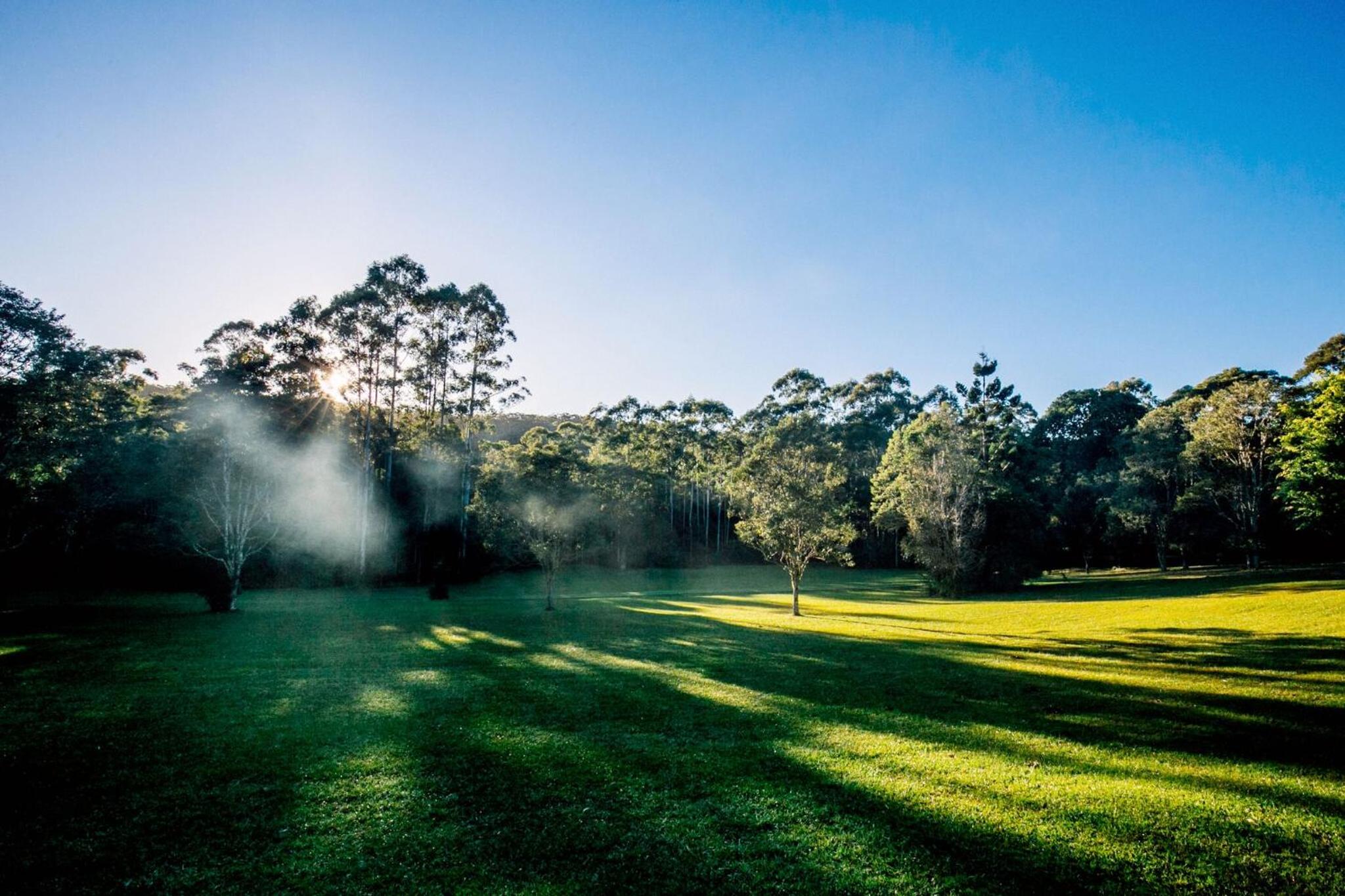Nightcap Ridge - Byron Bay Hinterland