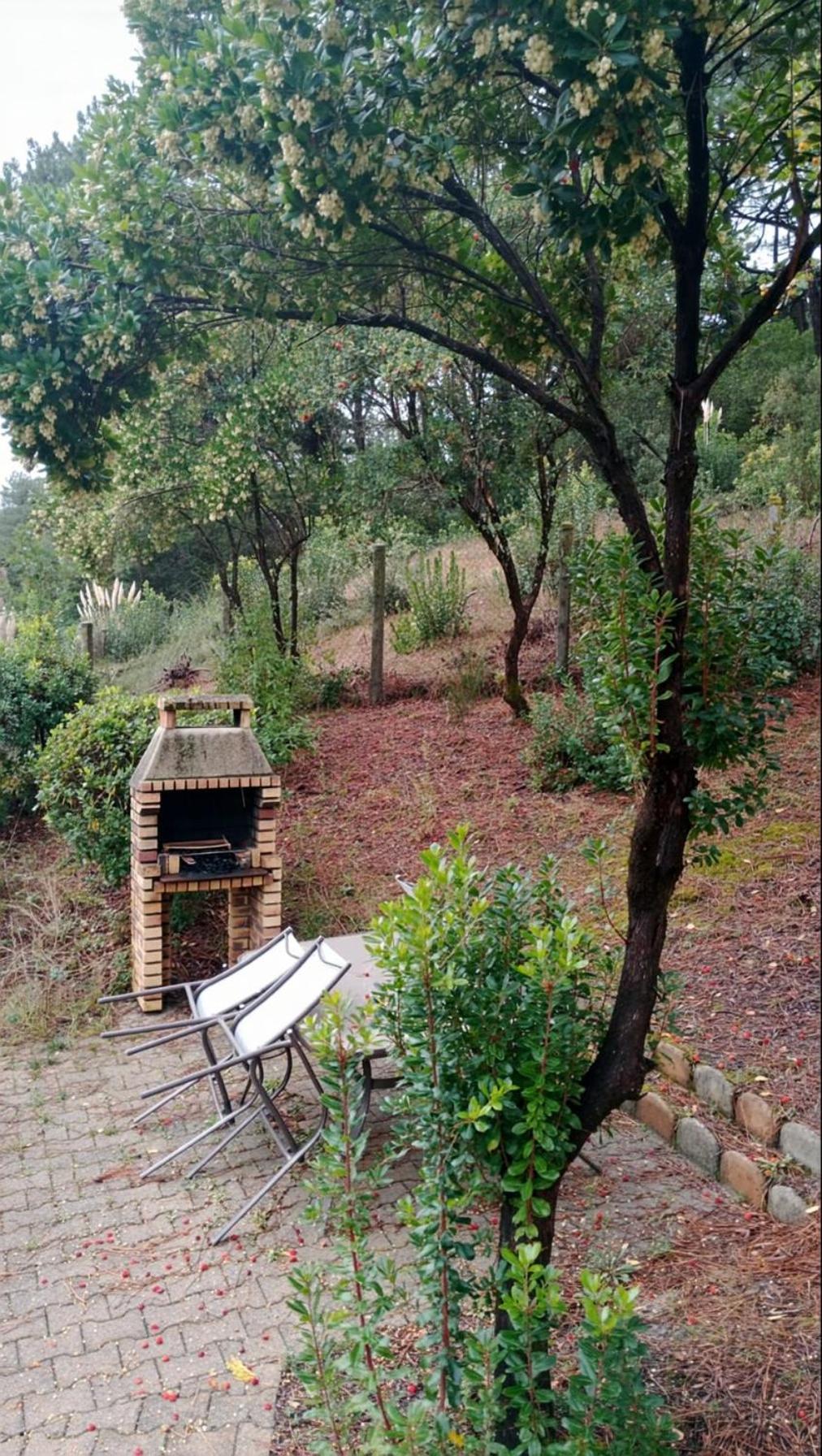 Villa Horizon