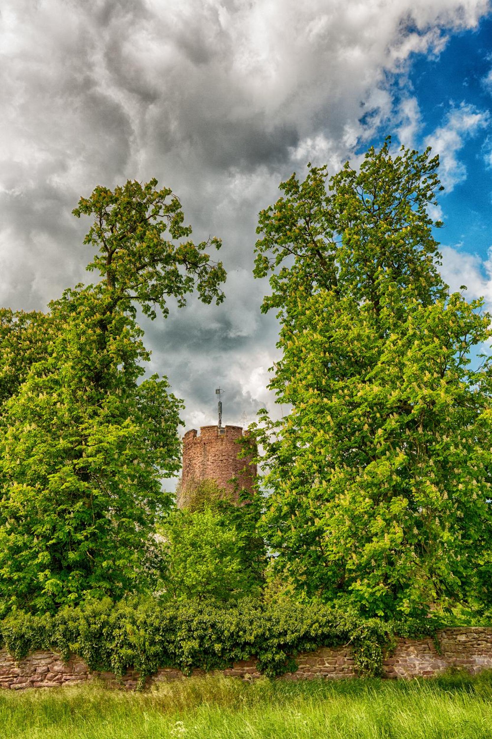 Veltheimsburg