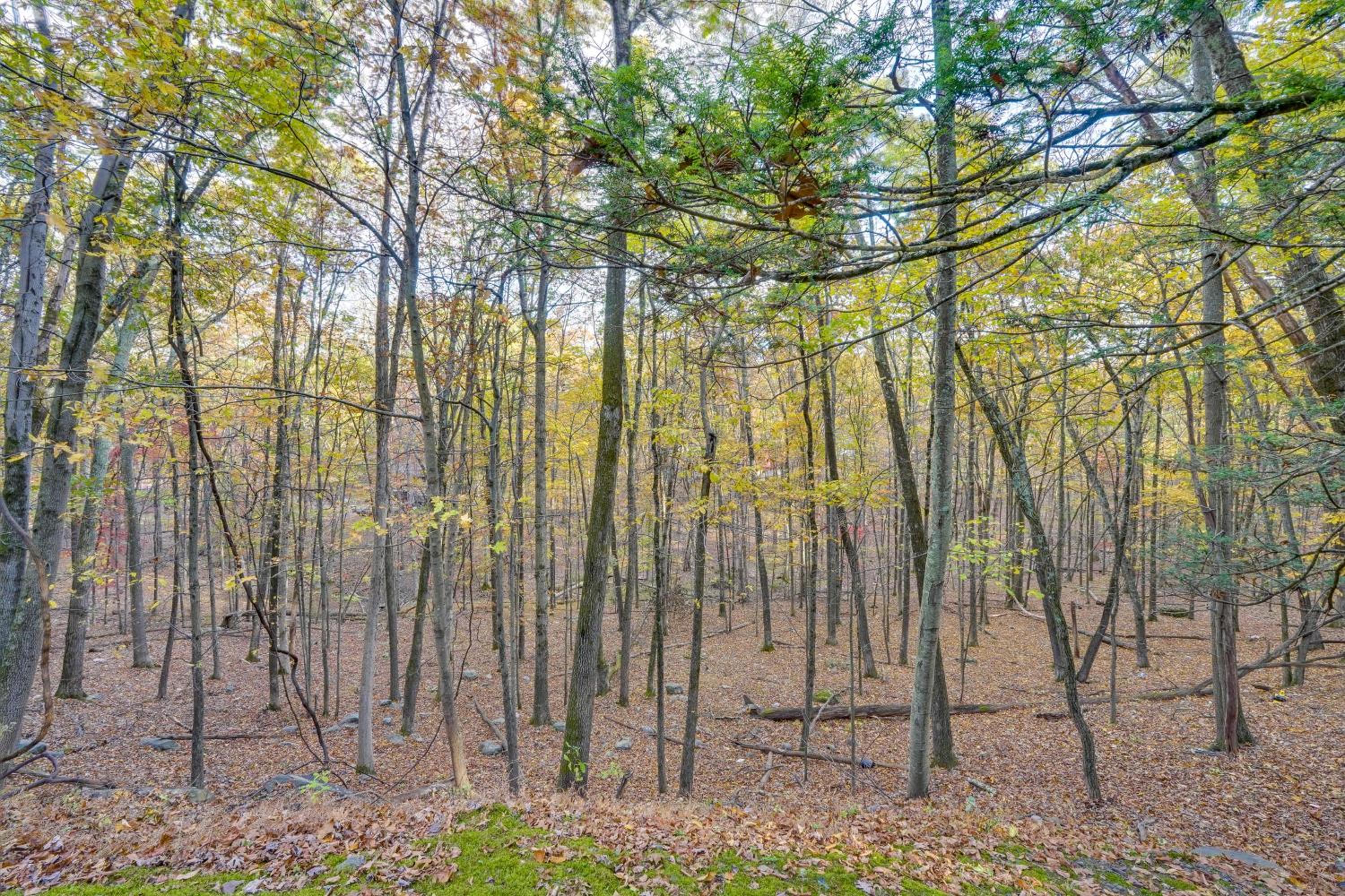 Year-Round Outdoor Adventures Poconos Hideaway