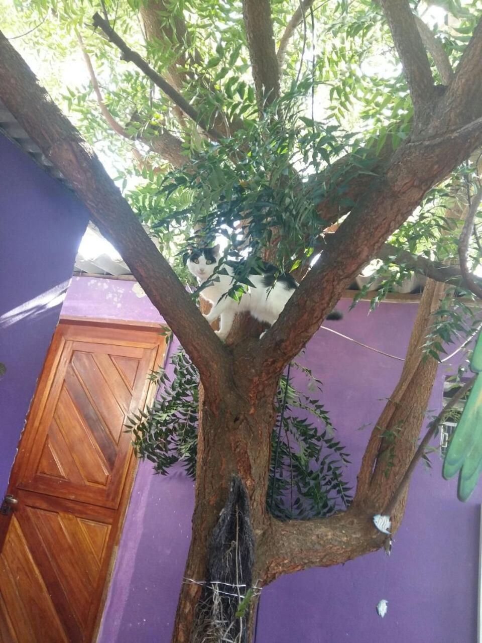 Hostel Margo Natal