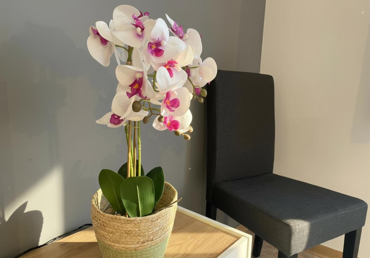 Rückzugsort mit Bergblick in Baiersbronn-Obertal - beheizter Wintergarten & kostenfreier Parkplatz - 70qm Ferienwohnung