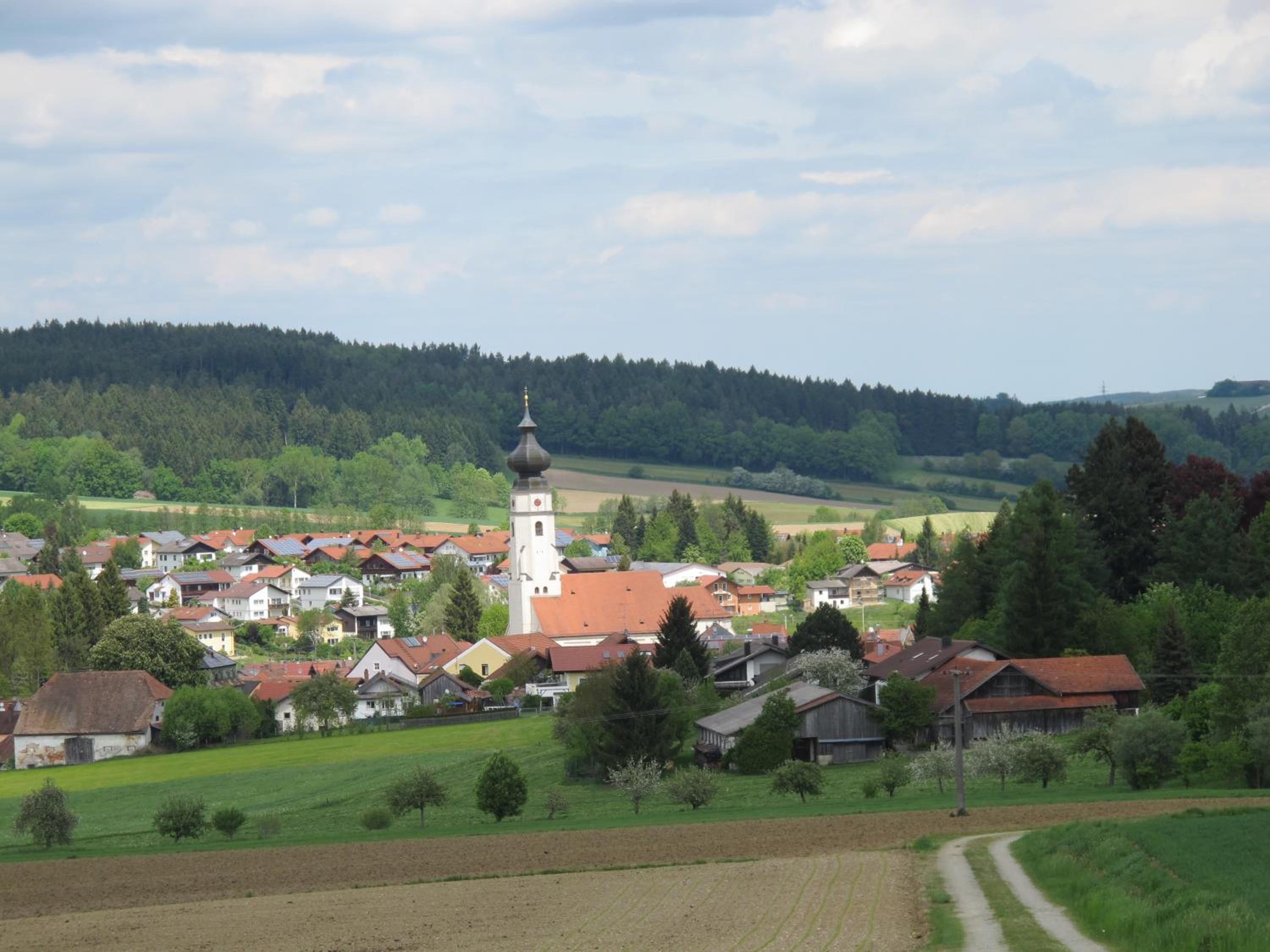 Photo 19