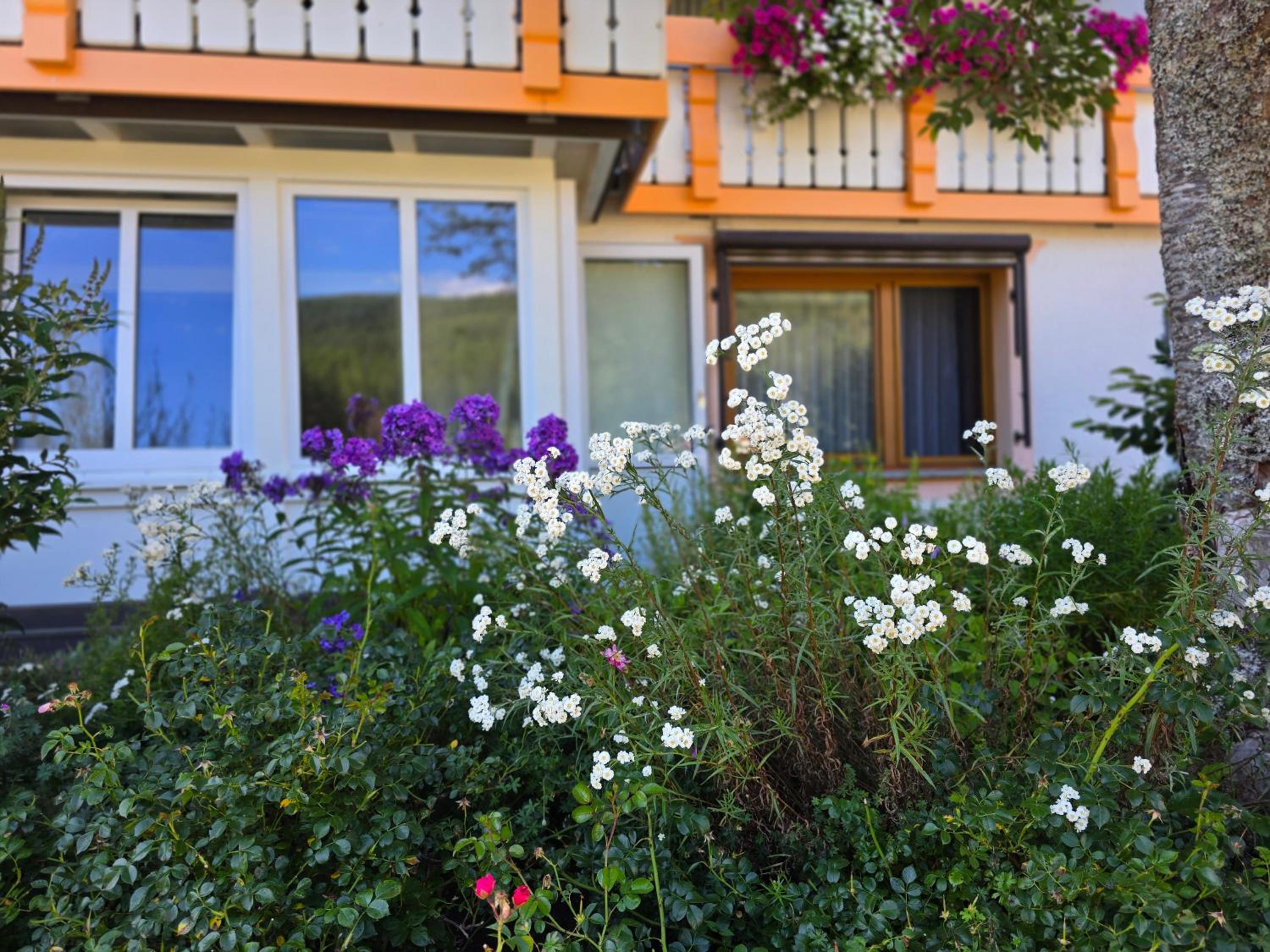 Rückzugsort mit Bergblick in Baiersbronn-Obertal - beheizter Wintergarten & kostenfreier Parkplatz - 70qm Ferienwohnung
