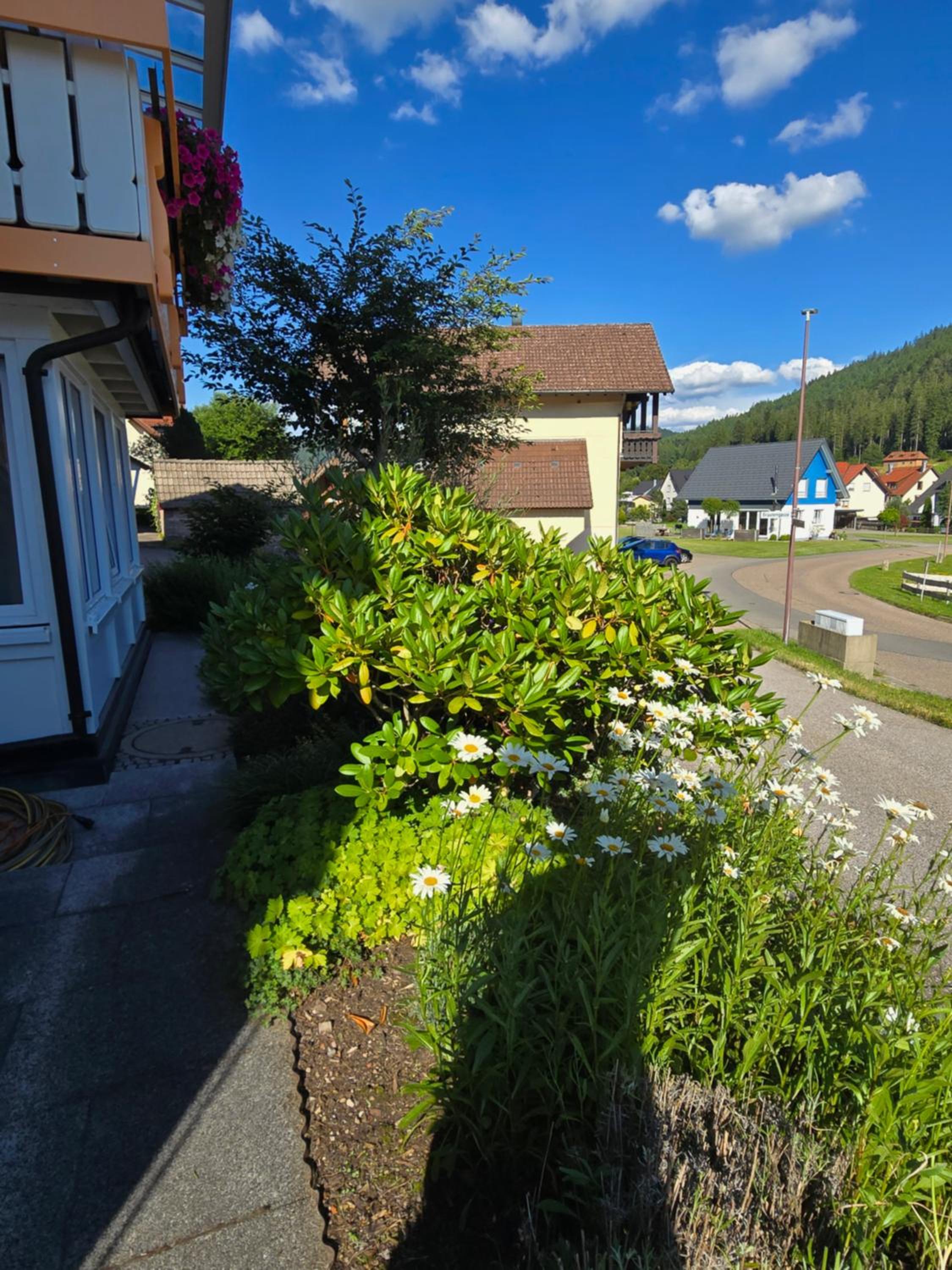 Rückzugsort mit Bergblick in Baiersbronn-Obertal - beheizter Wintergarten & kostenfreier Parkplatz - 70qm Ferienwohnung