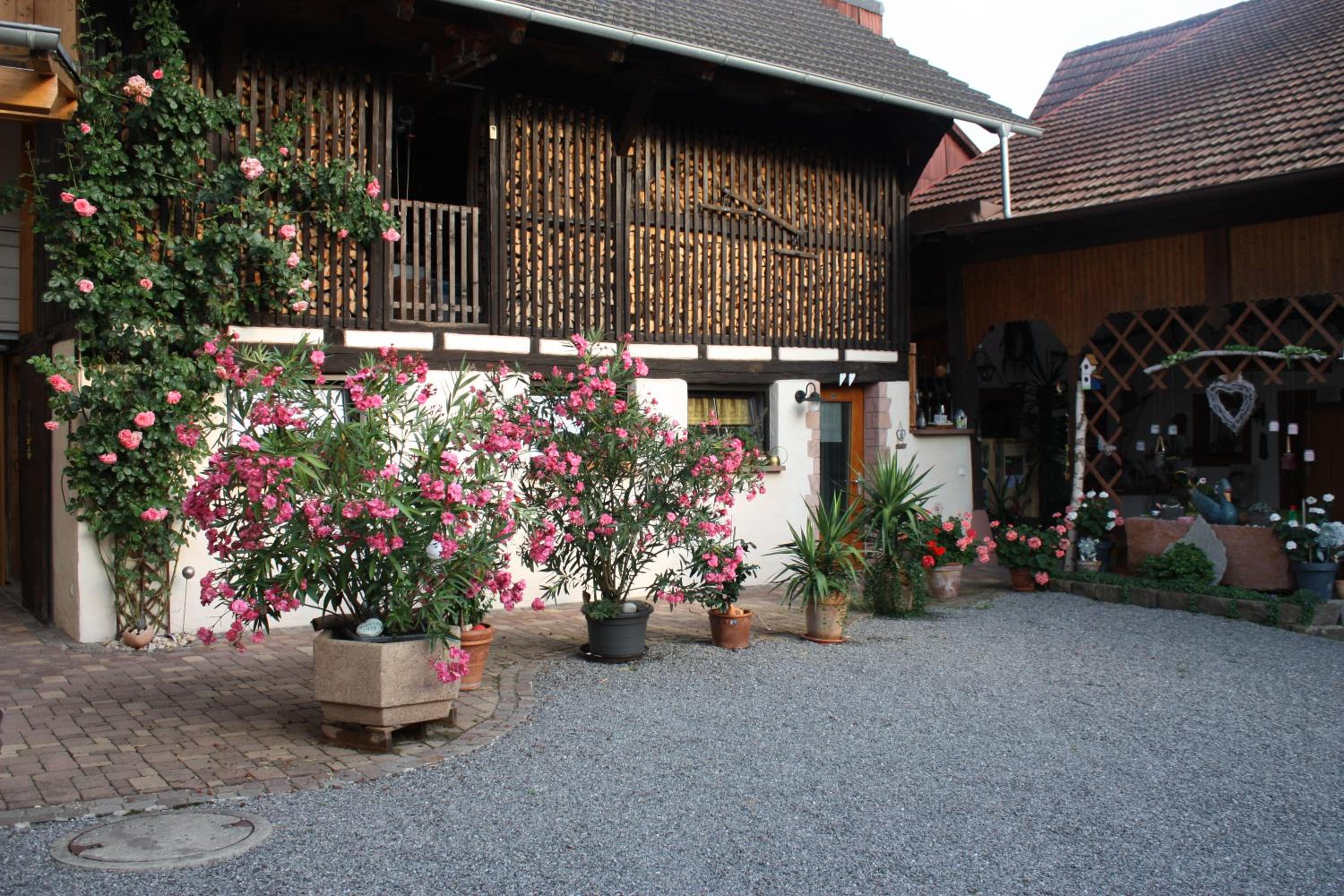 Photo 27