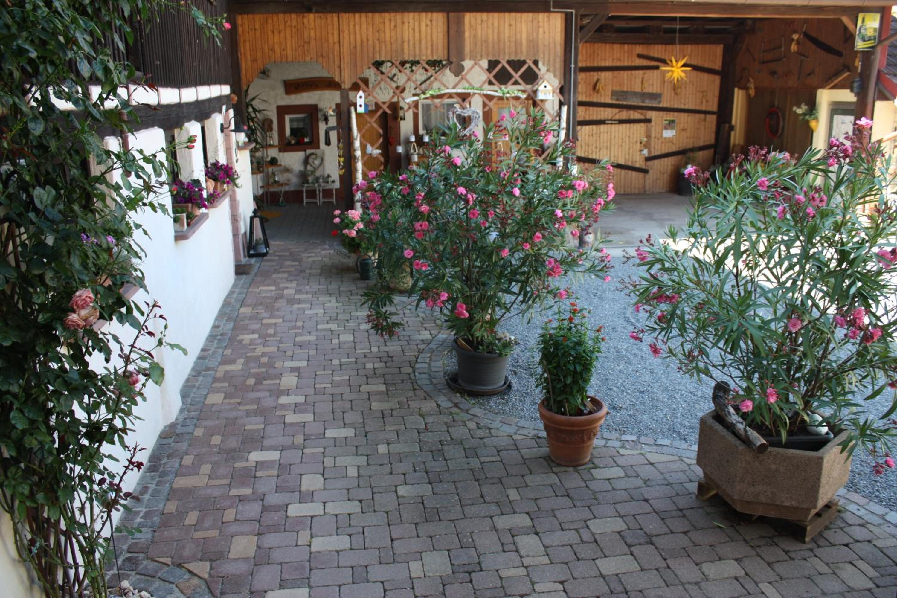 Photo 28