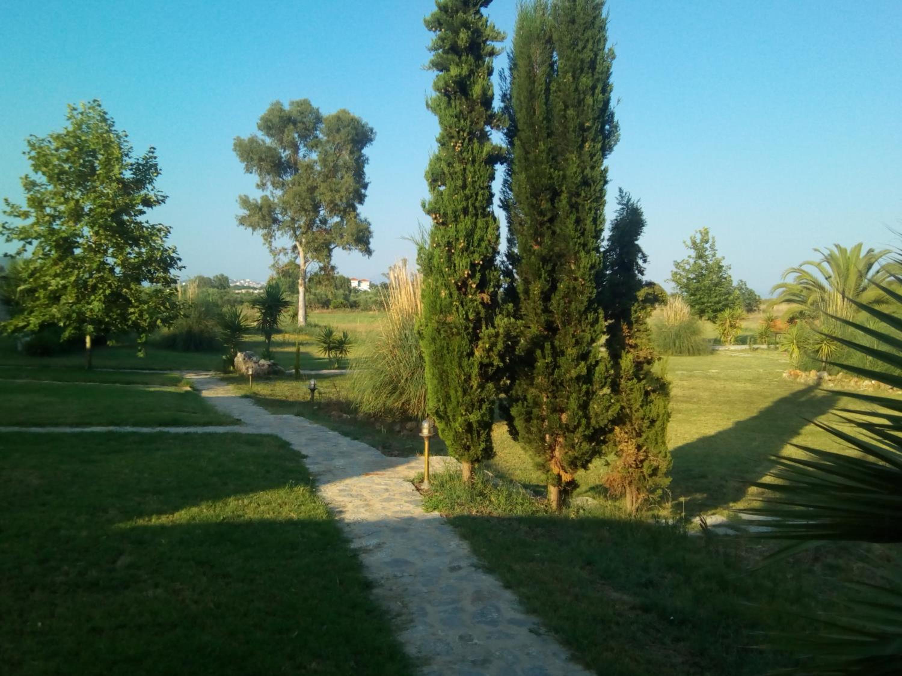 Photo 59