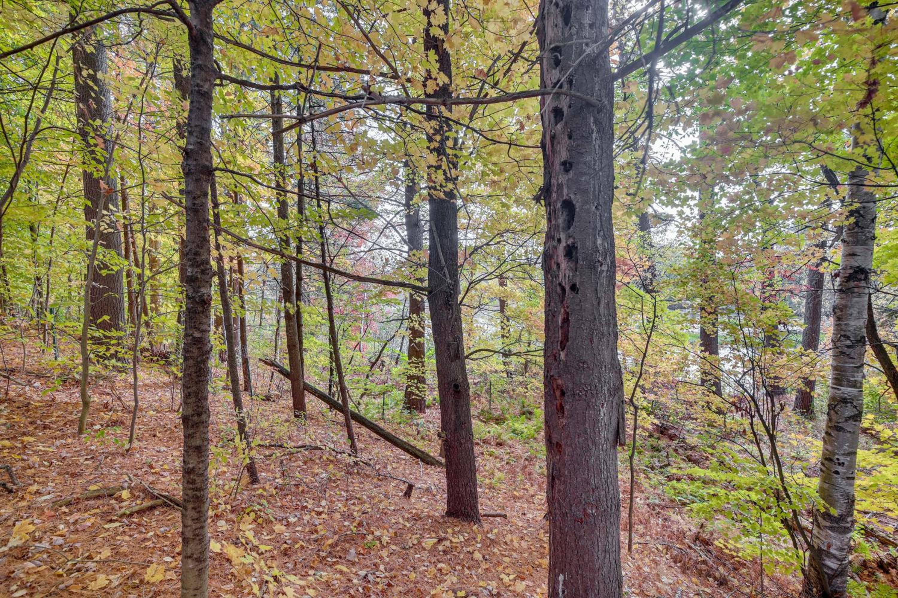 Lake and Trail Access On-Site! Fairfax Hideaway