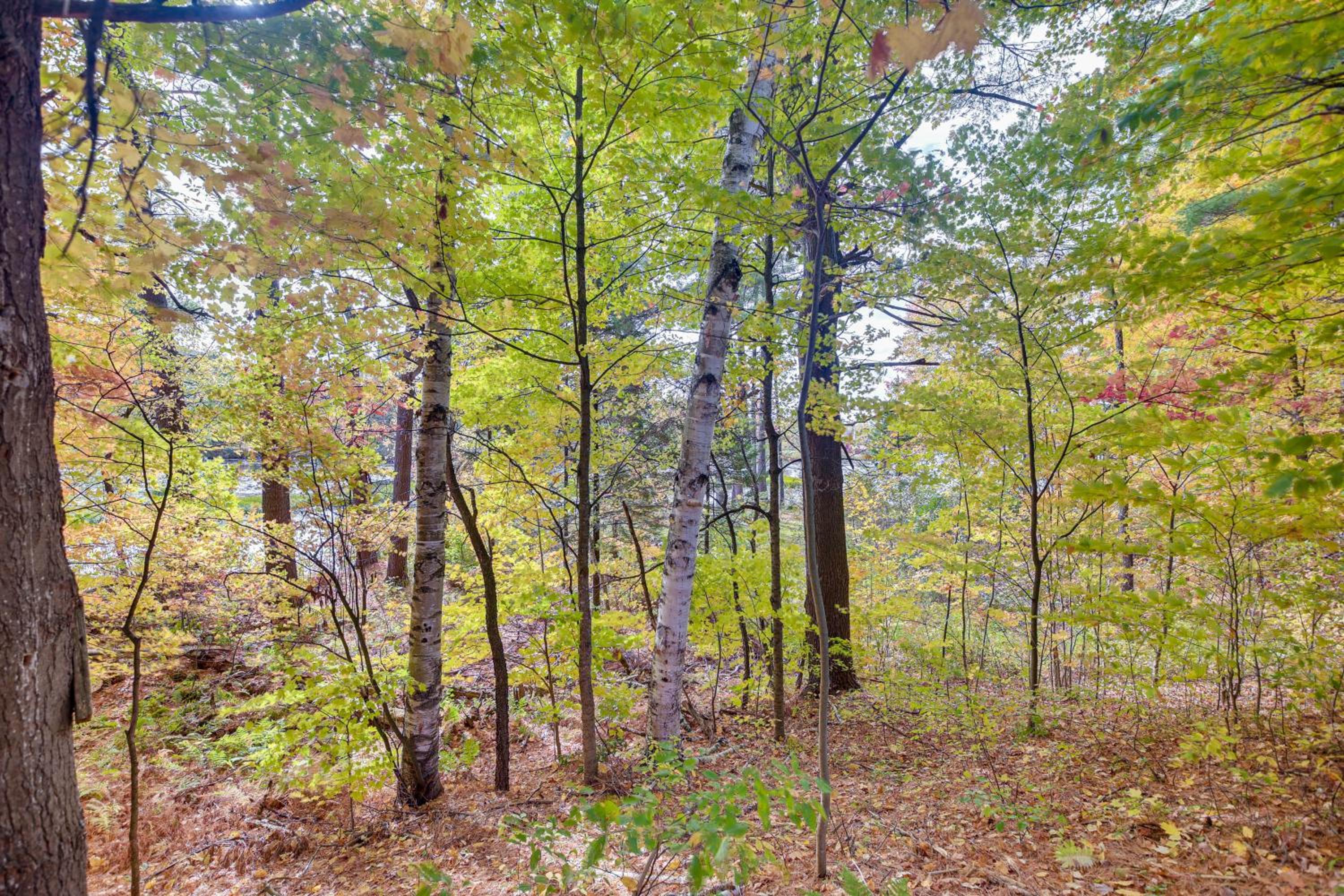 Lake and Trail Access On-Site! Fairfax Hideaway
