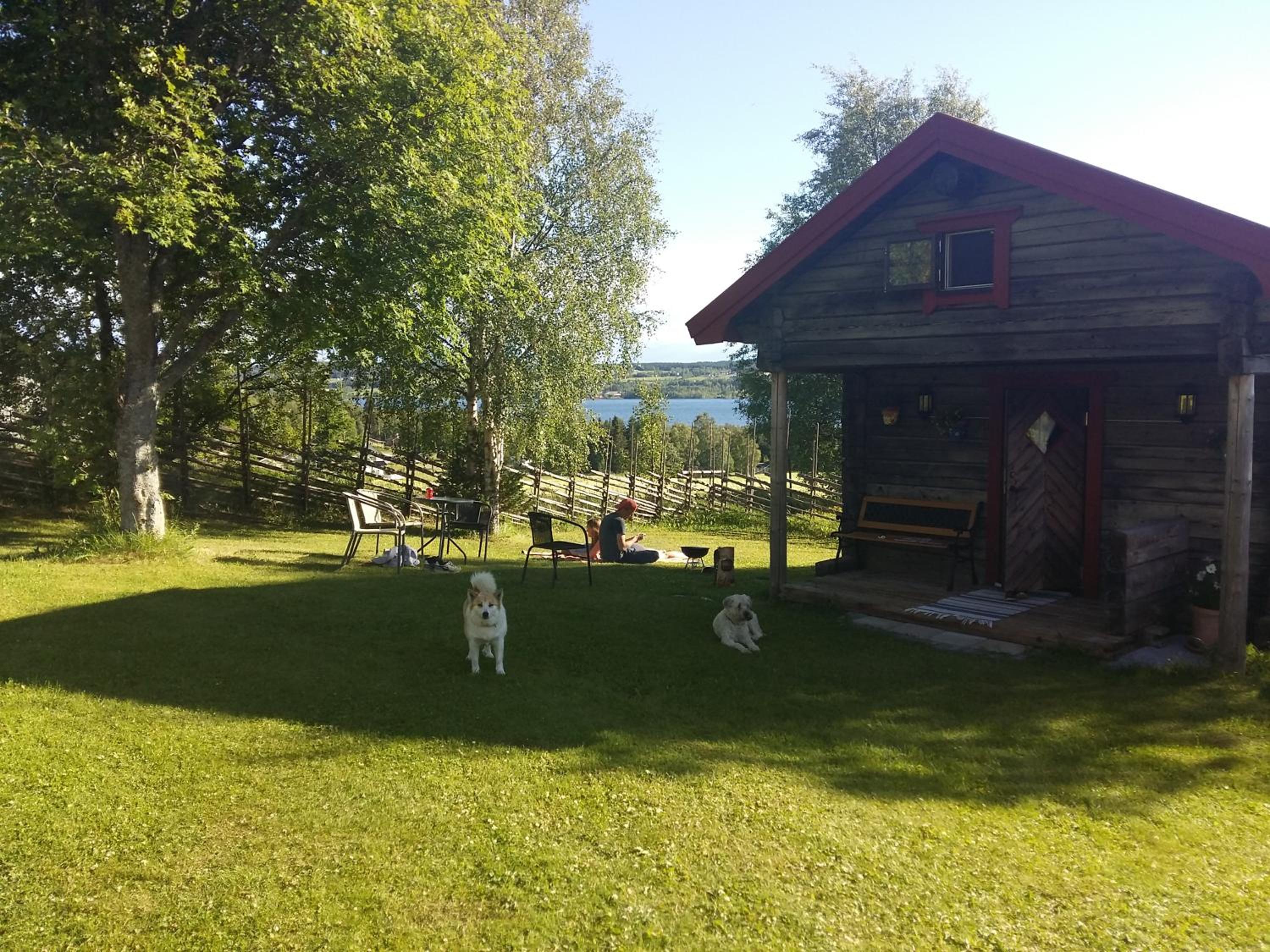 Photo 43