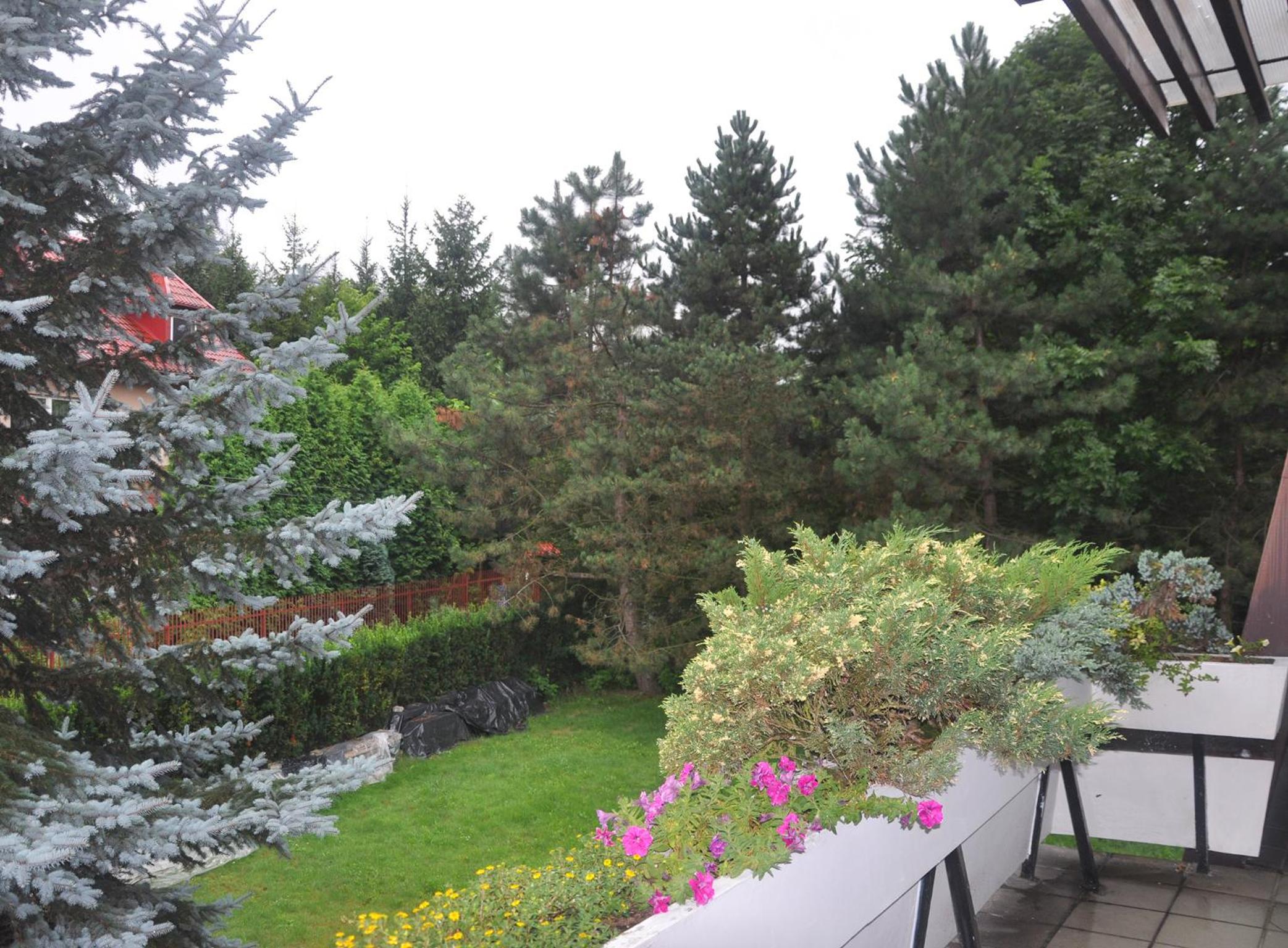 Pokoje Gościnne pod Sikornikiem view 4