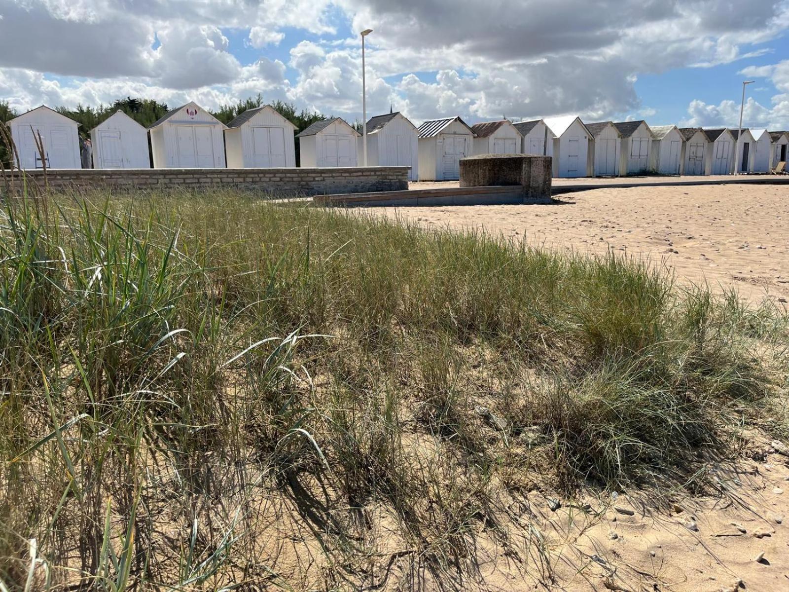 La petite Luzerne 300m de la plage, Cosy et confortable maison rénovée pour 8