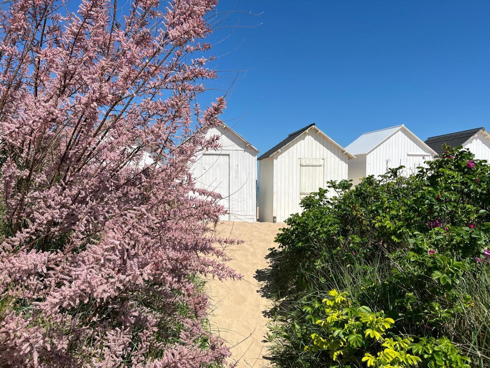 La petite Luzerne 300m de la plage, Cosy et confortable maison rénovée pour 8