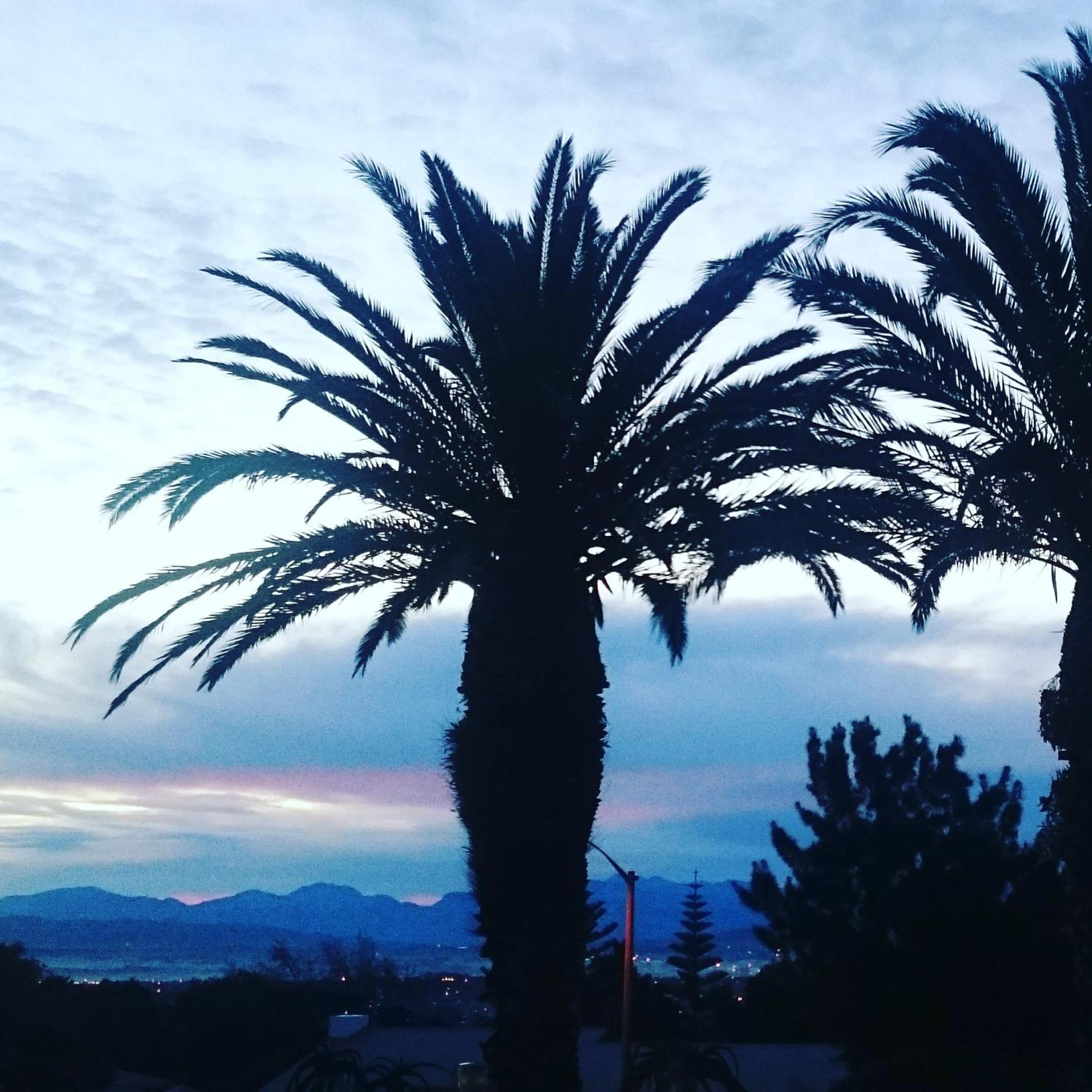 Four Palms Accommodation