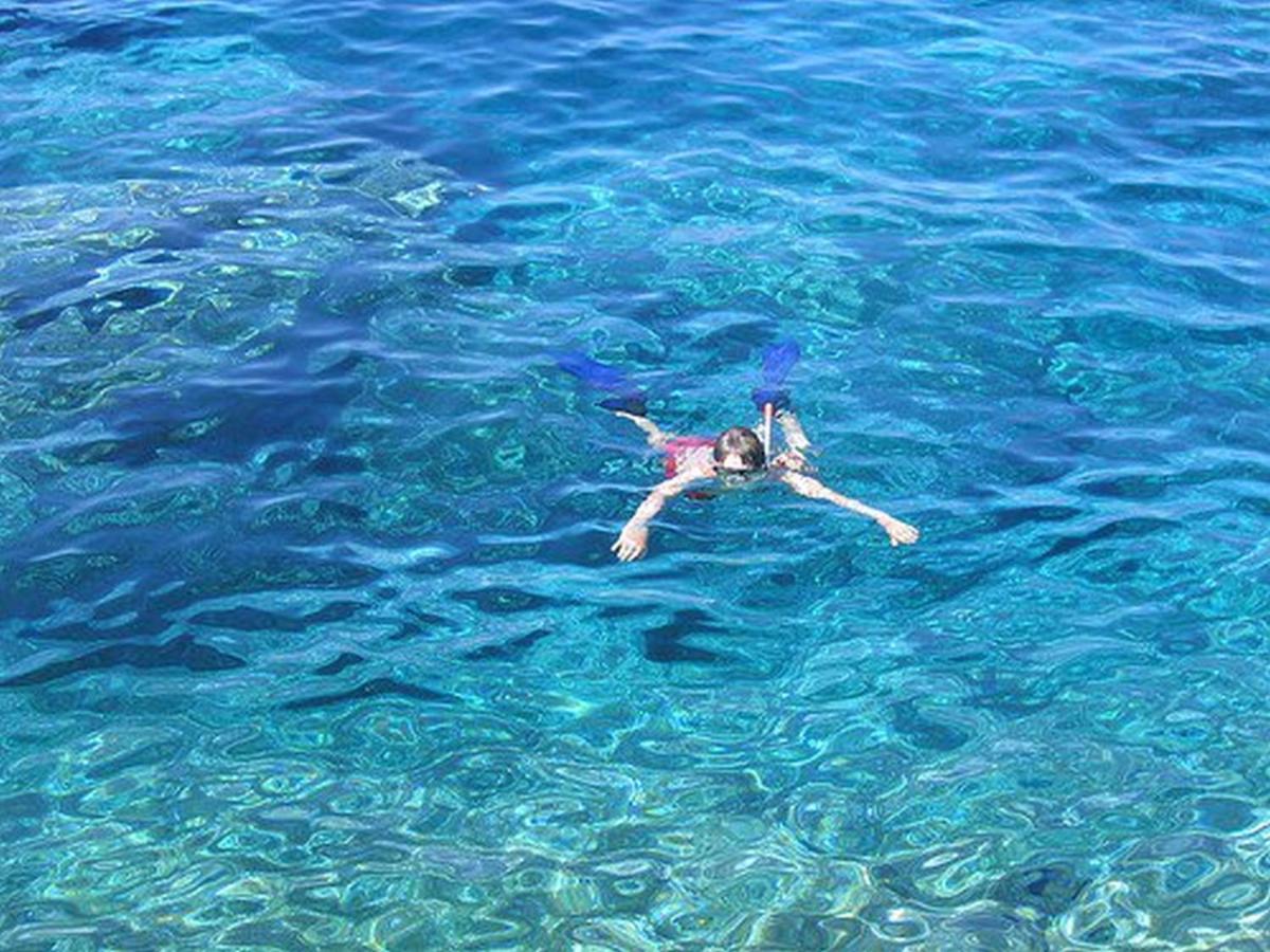 Photo 50