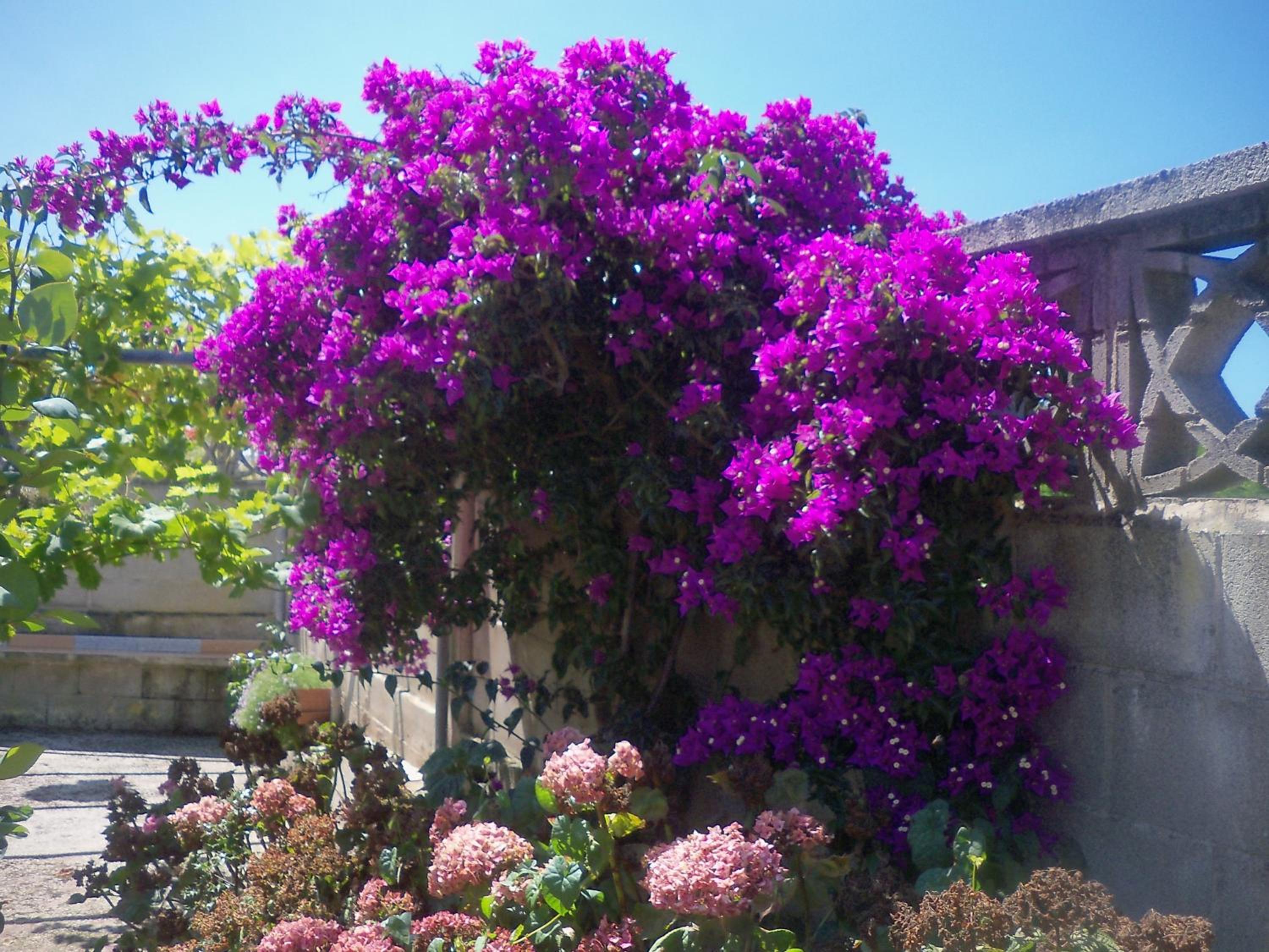 Fuente el Hayedo