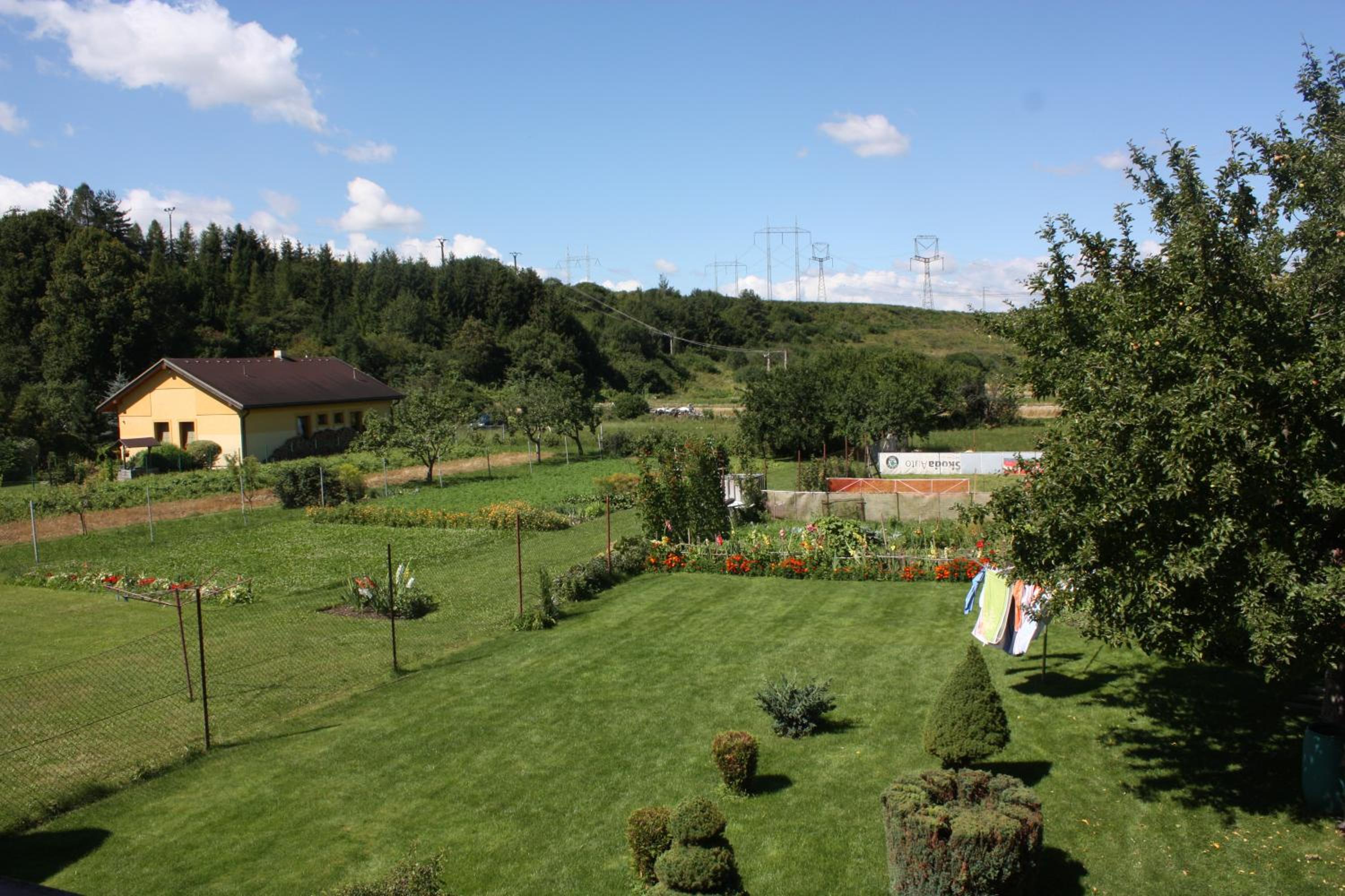 Photo 24