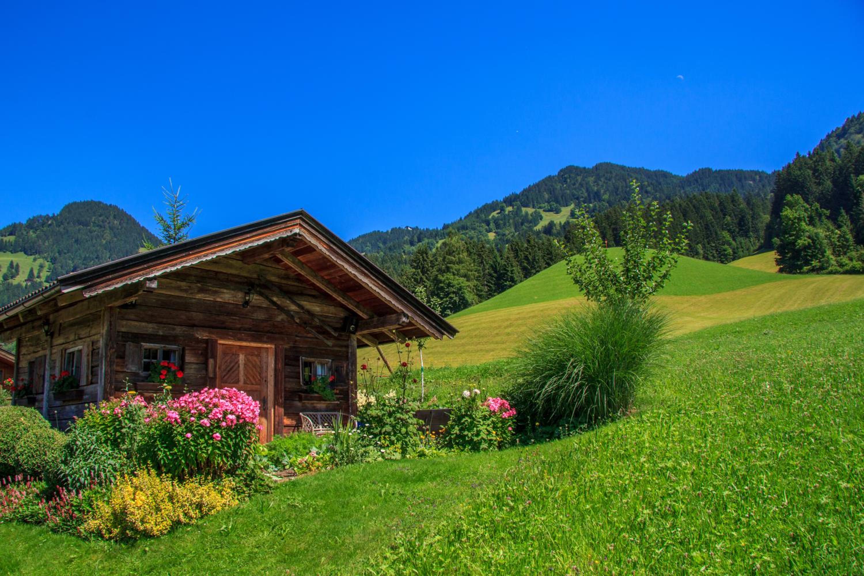 Appartements Grünholz