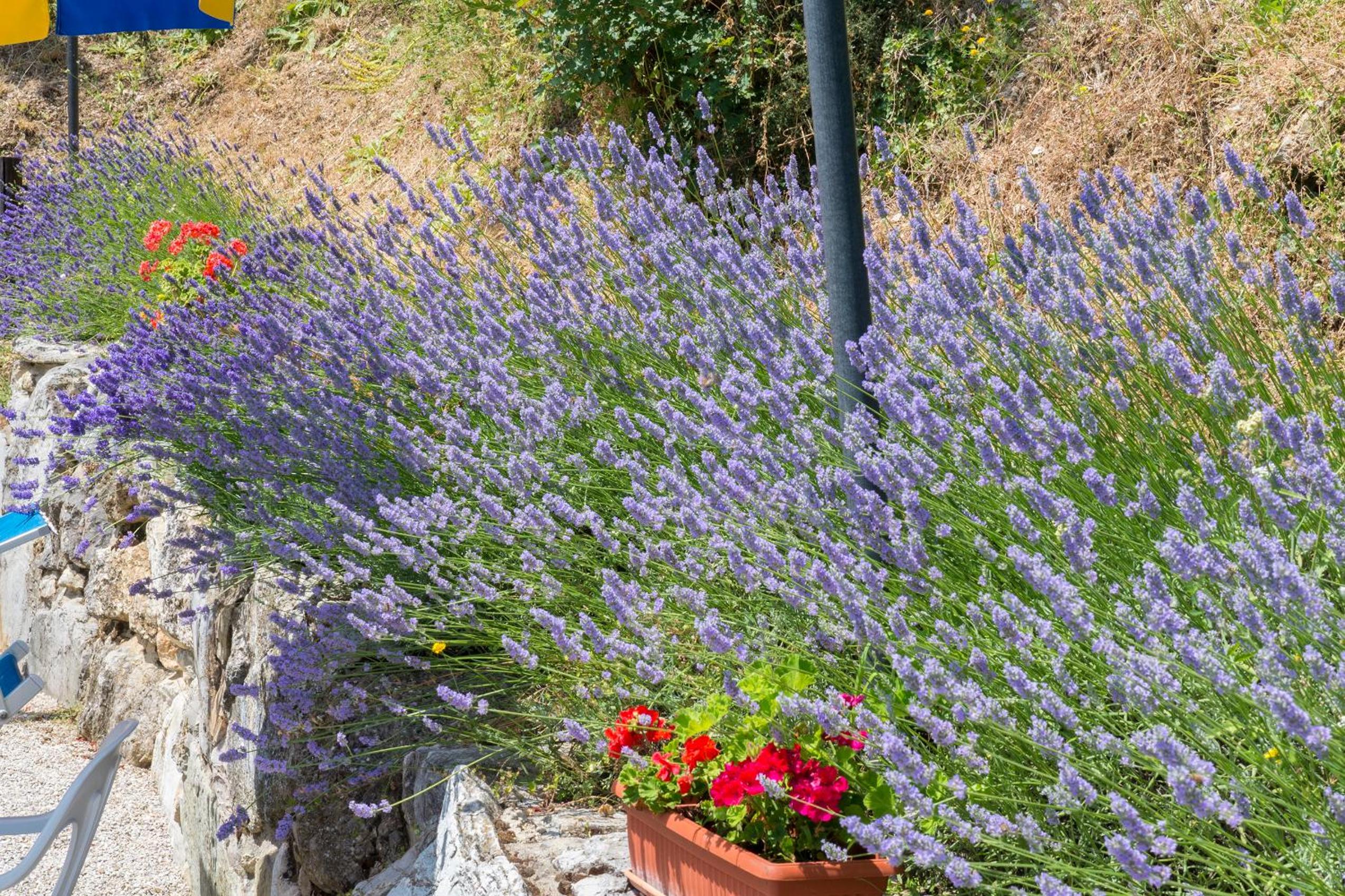 Agriturismo Monte Acuto