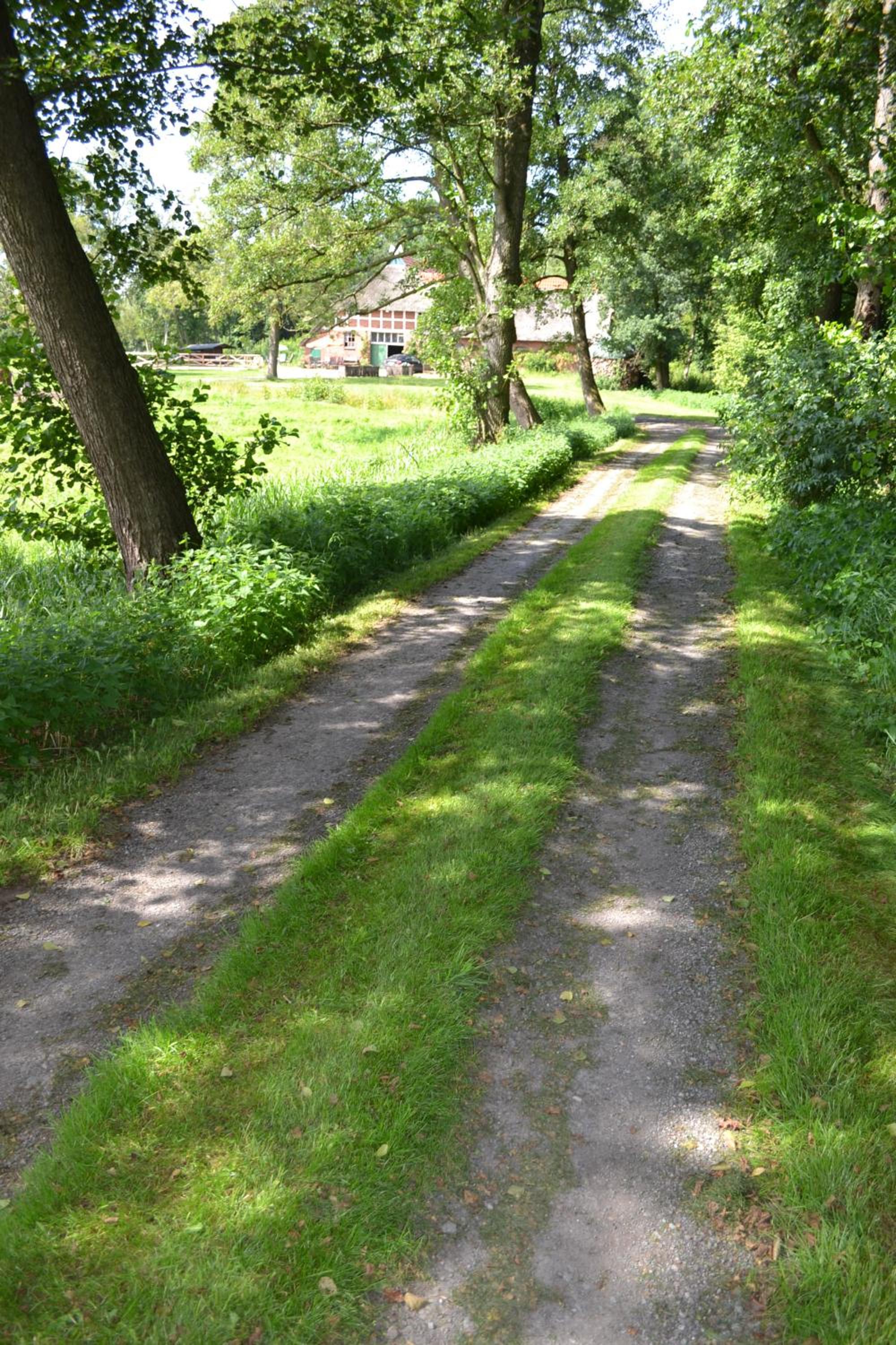 Photo 44