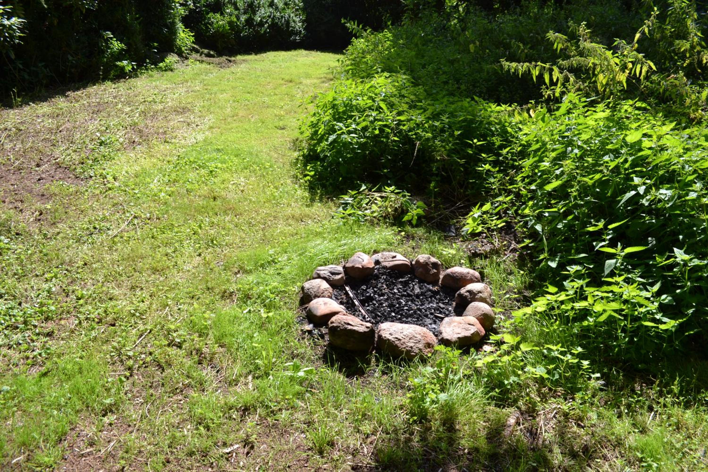 Photo 35