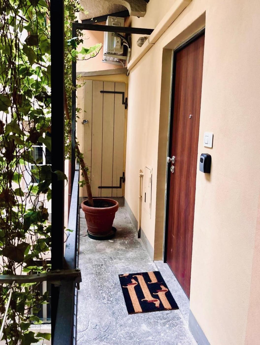 La Pepita - nel cuore del centro