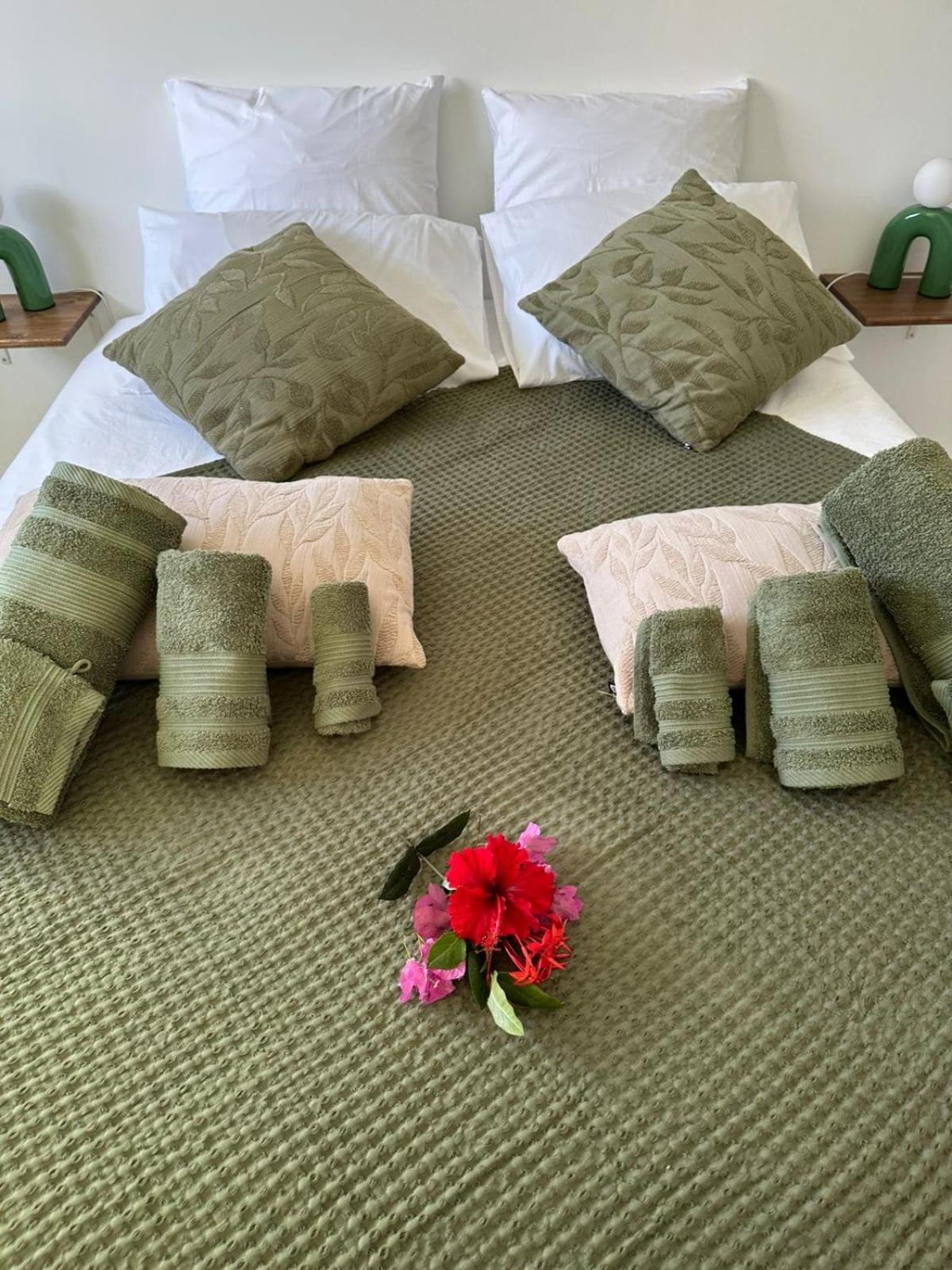 Villa JOLIS 4 chambres avec piscine en Guadeloupe