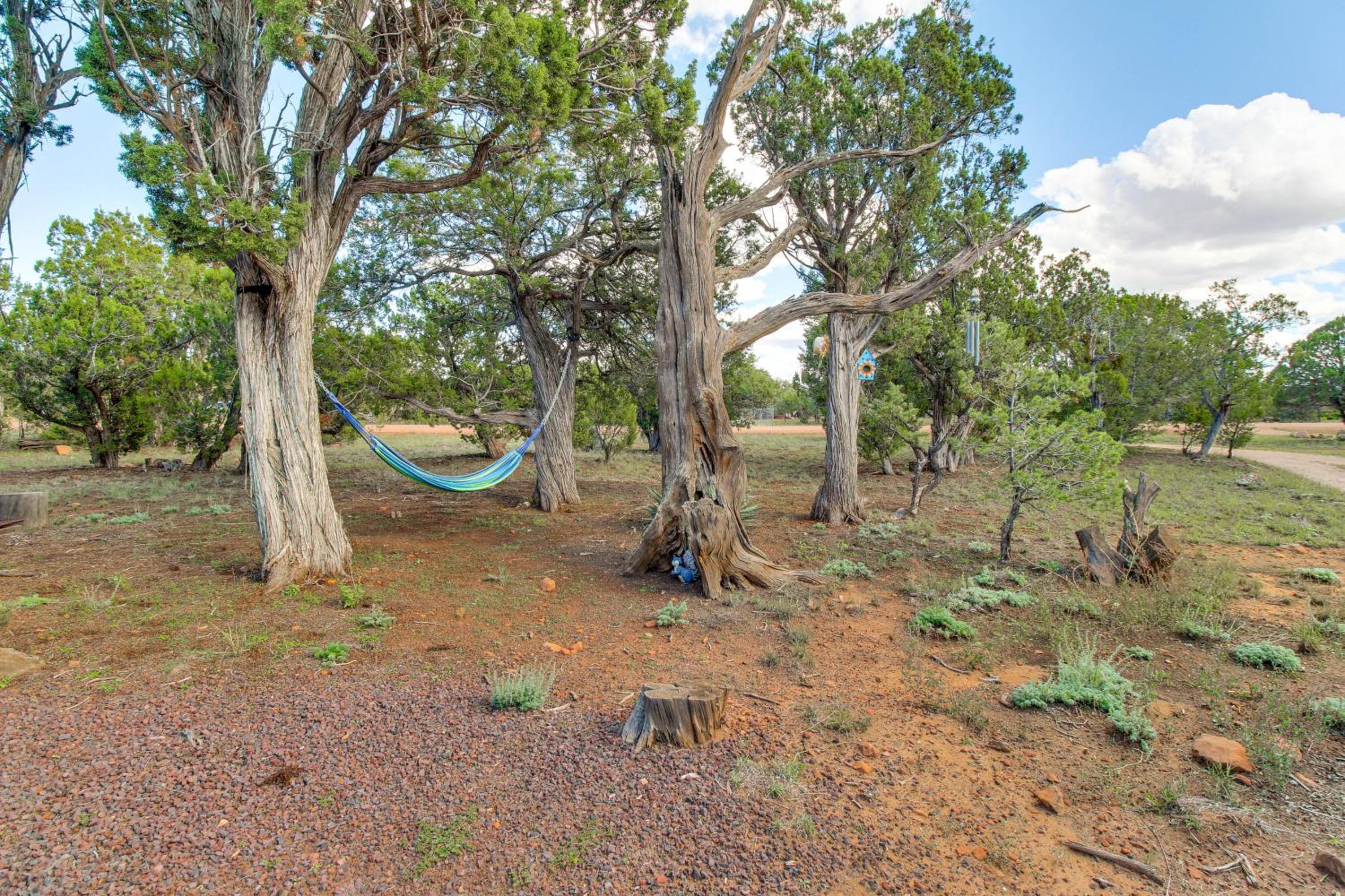 Hike and Fish Family Escape with Fire Pit in Heber!