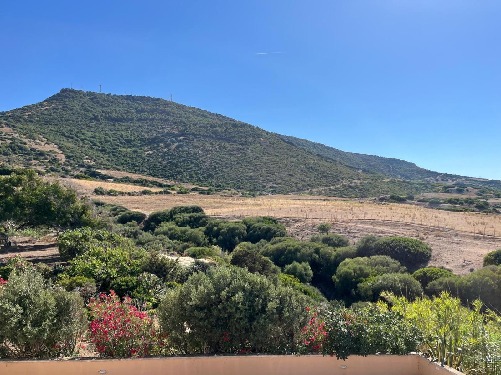 Casa Caterina - Spacious Sea-View Apartment