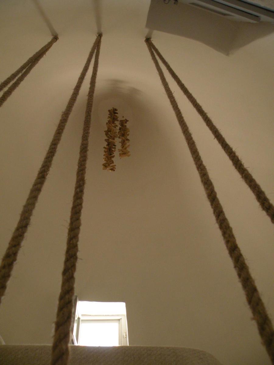 Photo 84