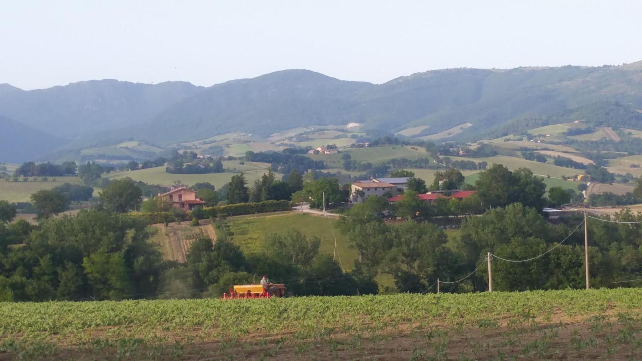 Photo 42