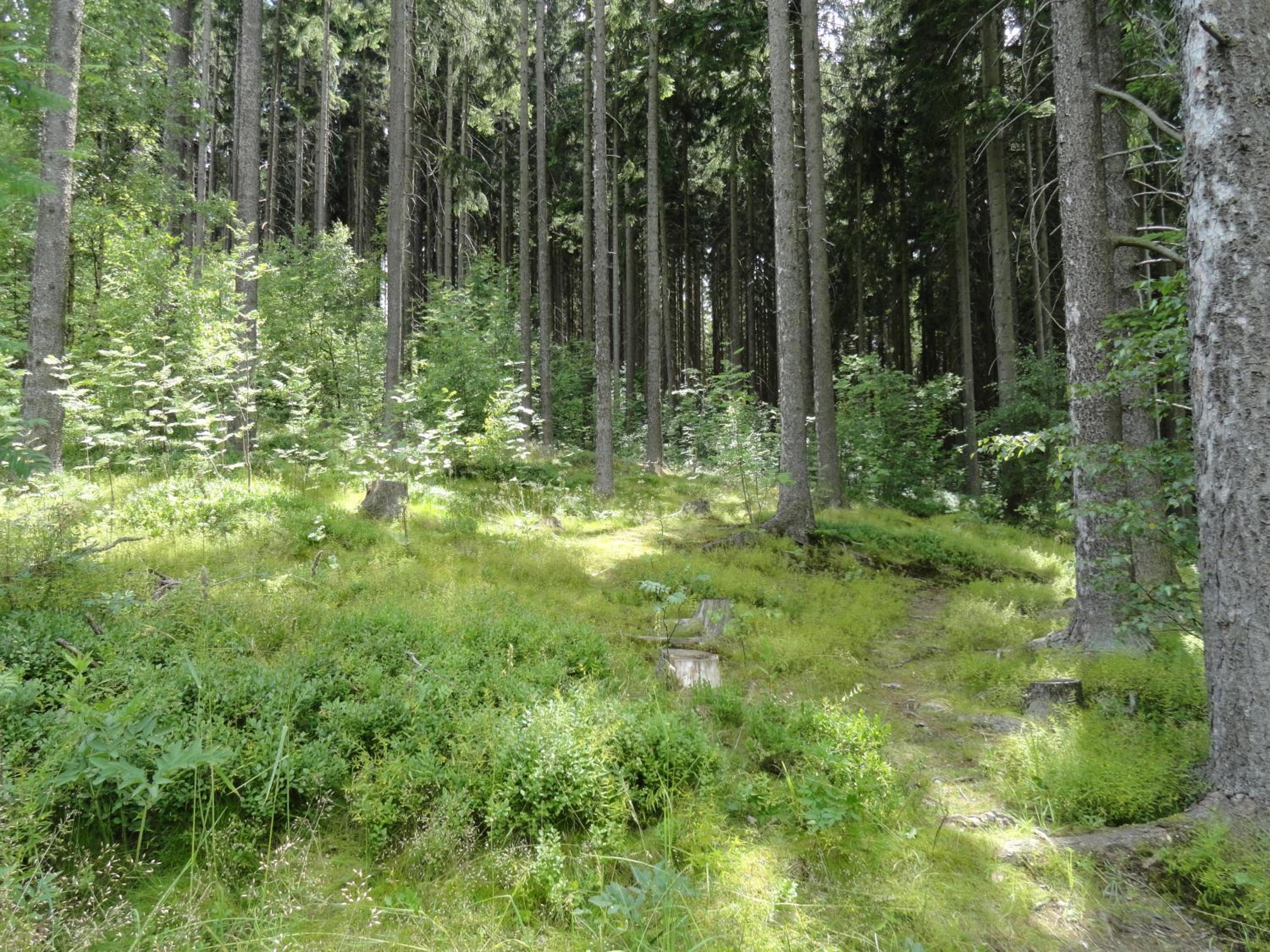 Photo 23