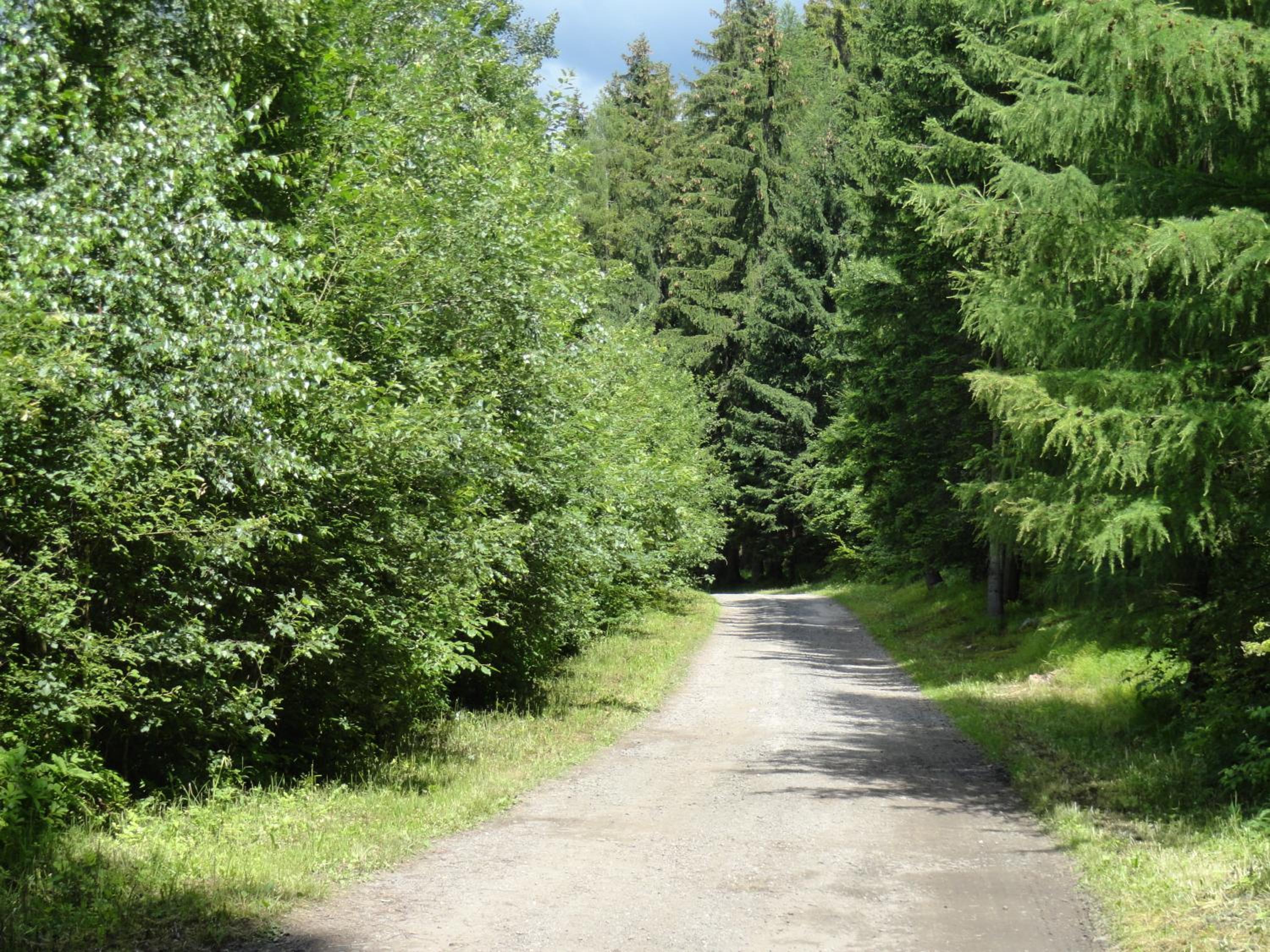 Photo 24