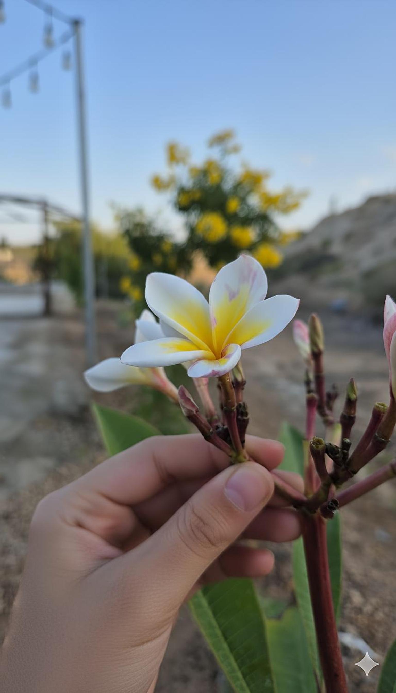 مزرعة-جوري--Jory-Farmhouse