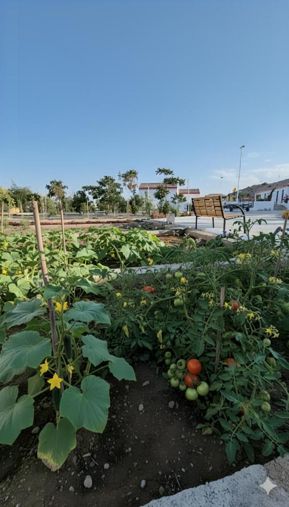 مزرعة-جوري--Jory-Farmhouse